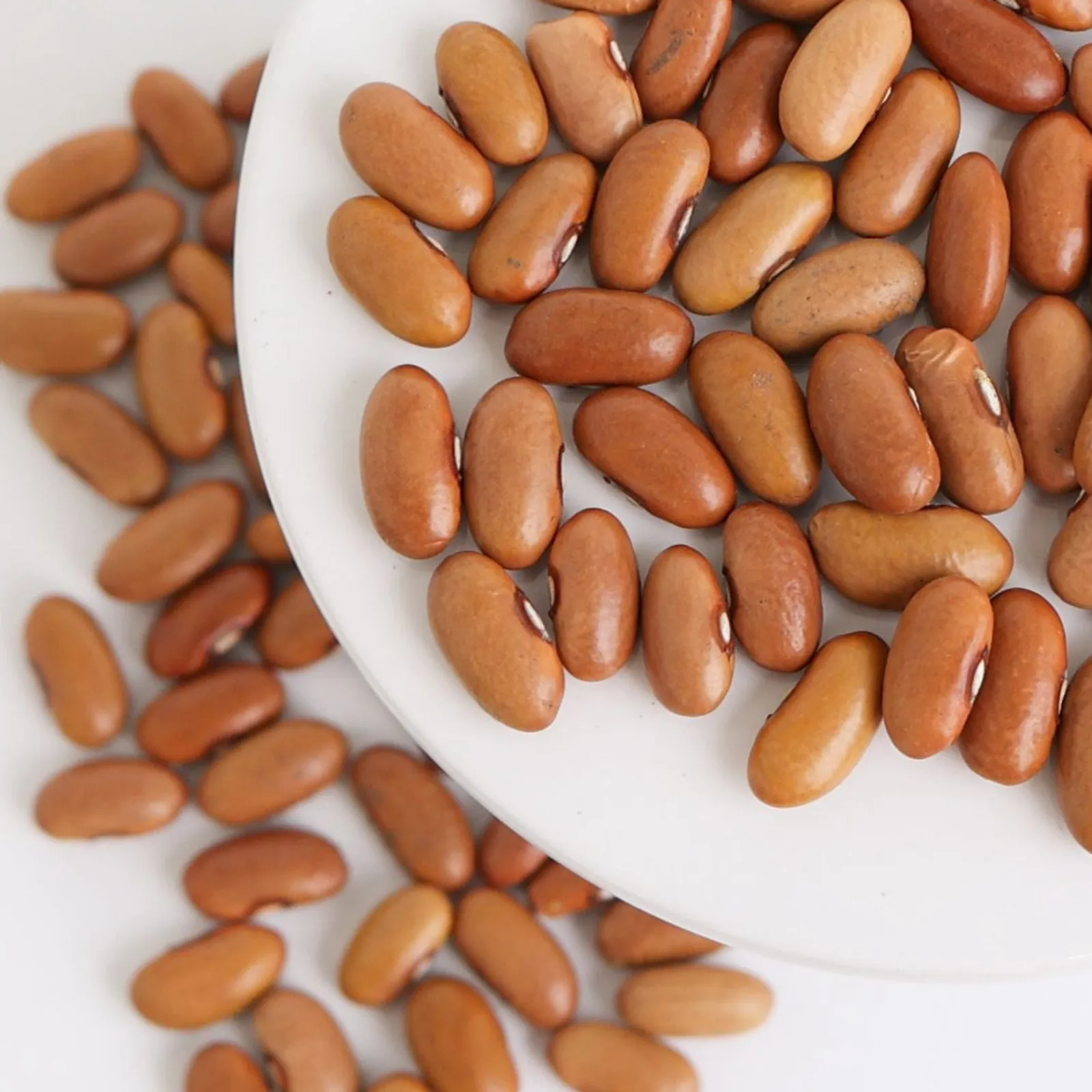 Arikara Yellow Beans