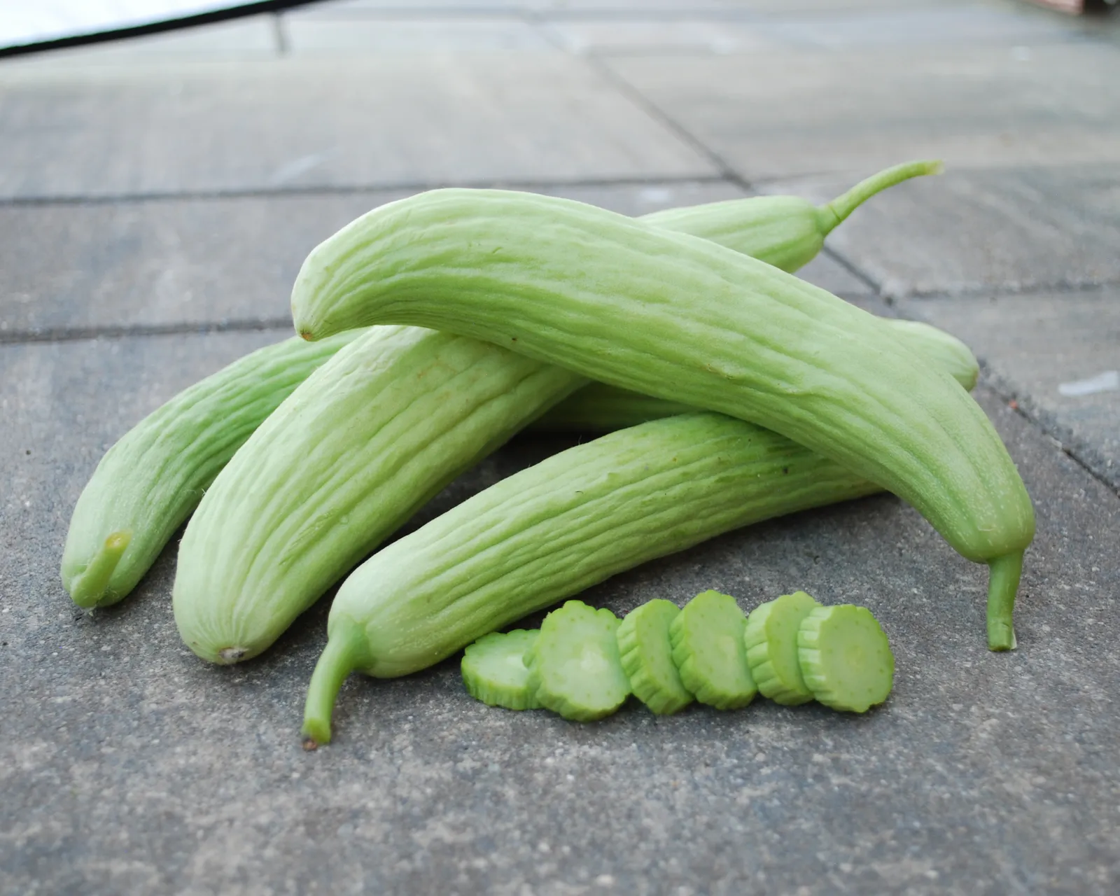 Armenian Green Cucumber Cantaloupe