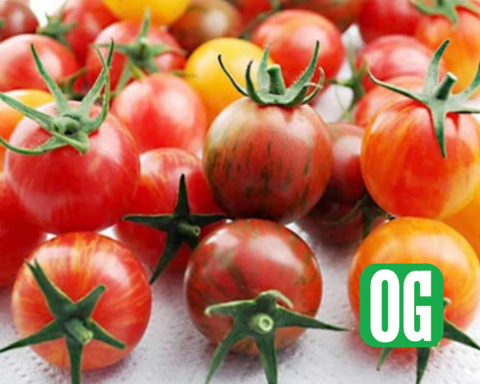 Artisan Series Bumblebee Mix Tomatoes