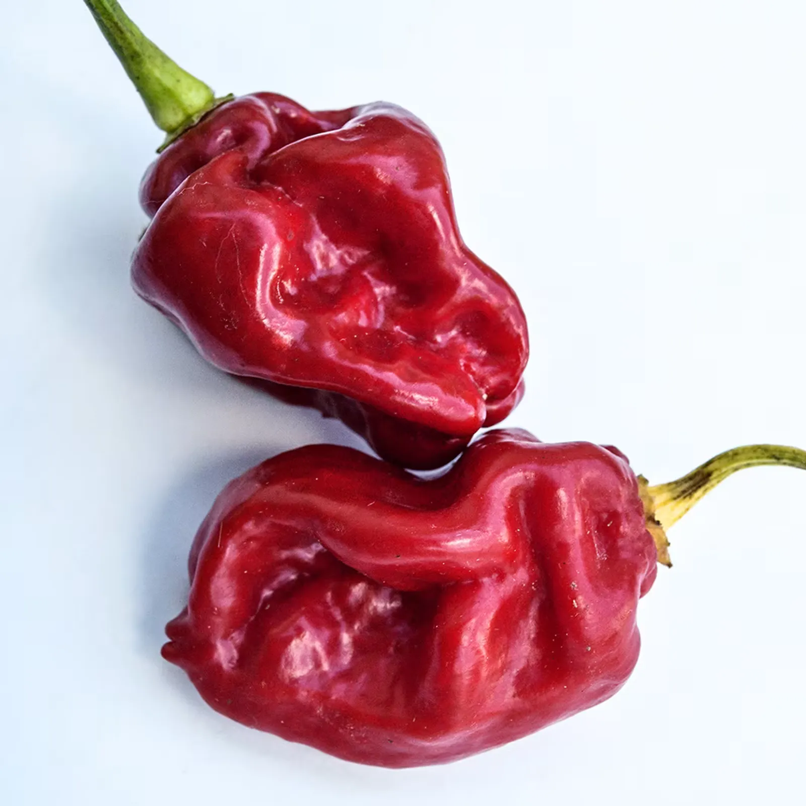 Asante Peppers