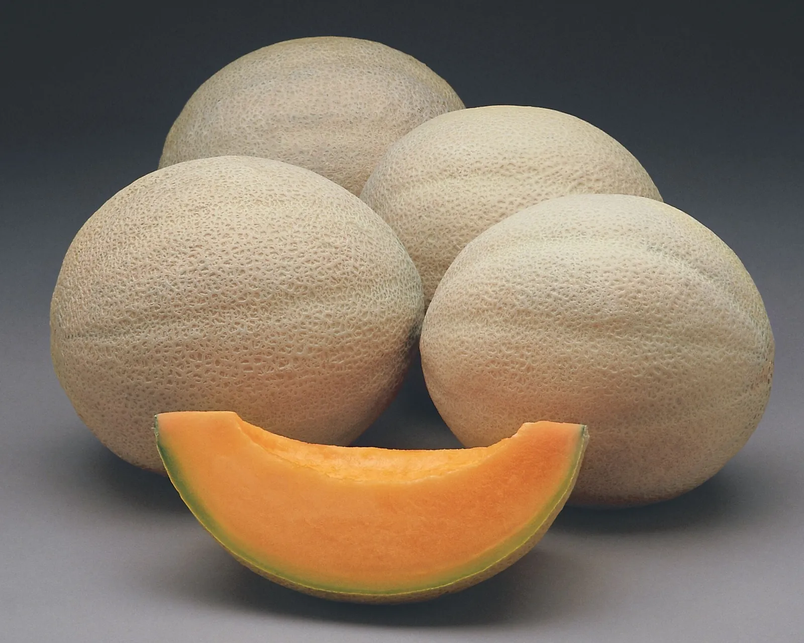 Athena Cantaloupe