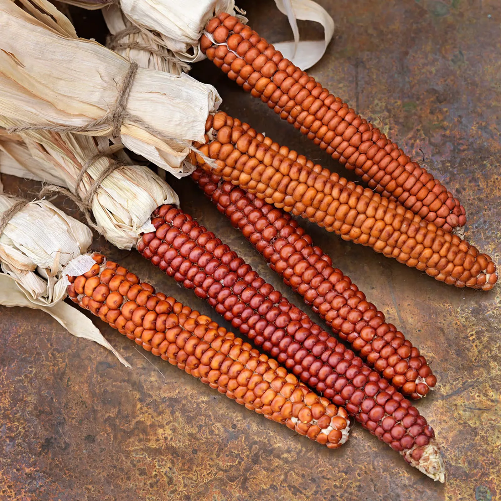 Atomic Orange Corn