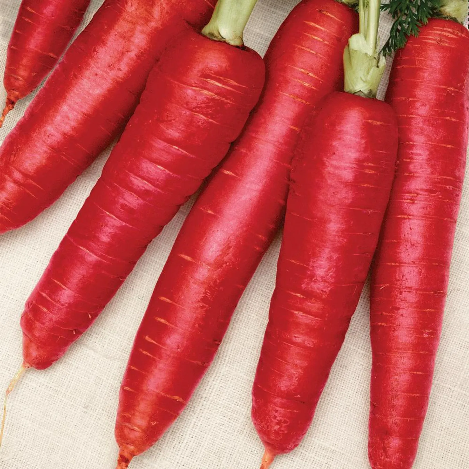 Atomic Red Carrots