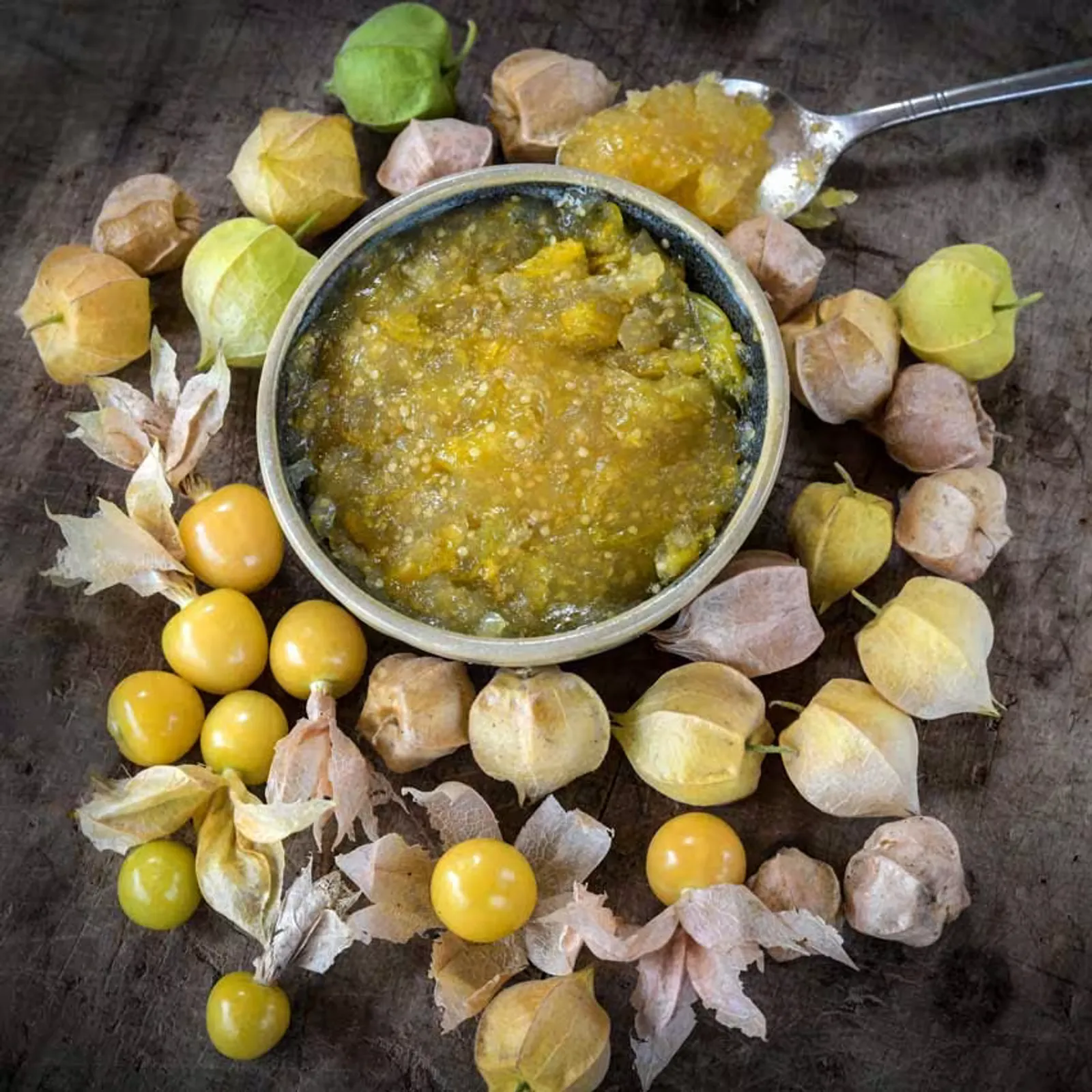 Aunt Molly's Ground Cherries