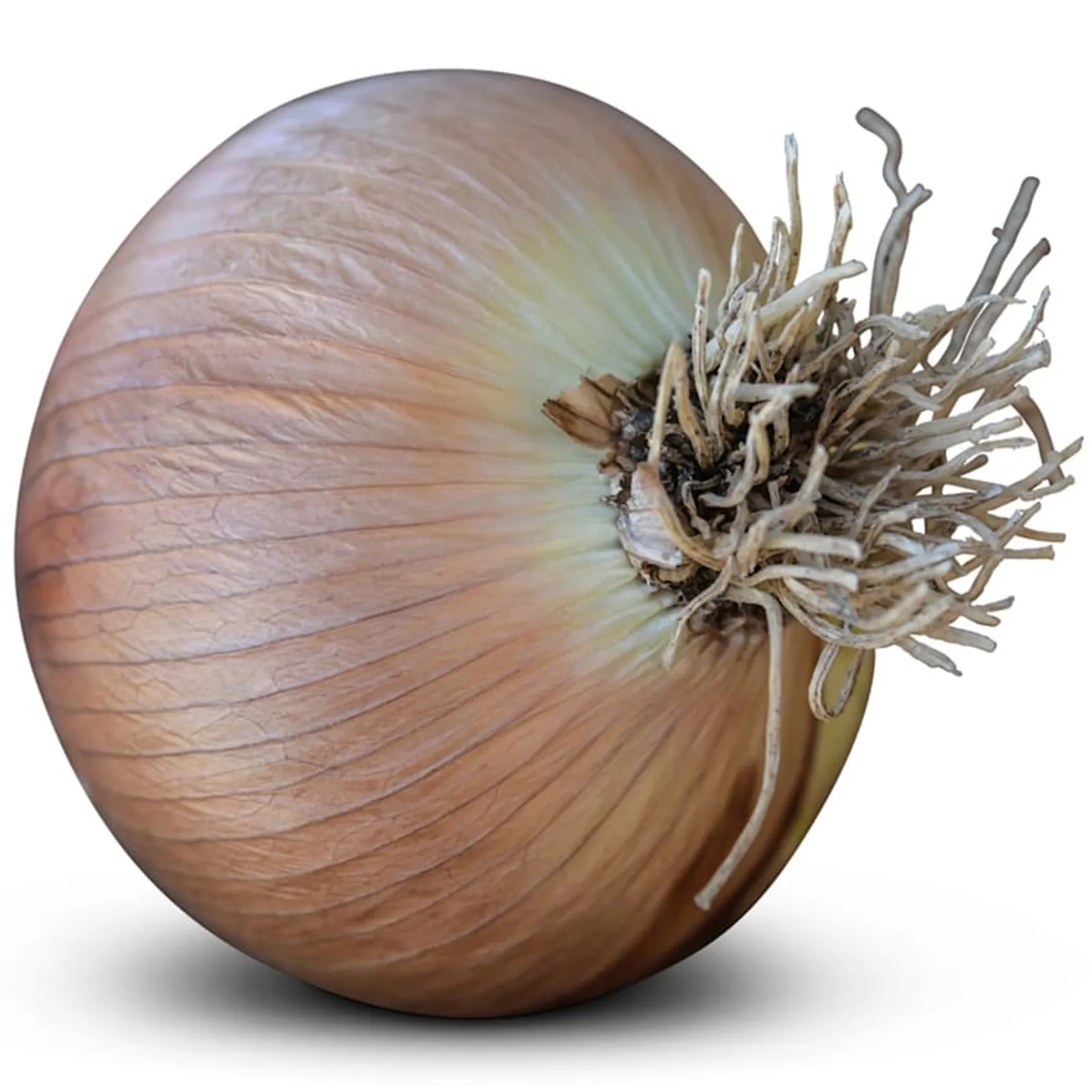 Australian Brown Onions
