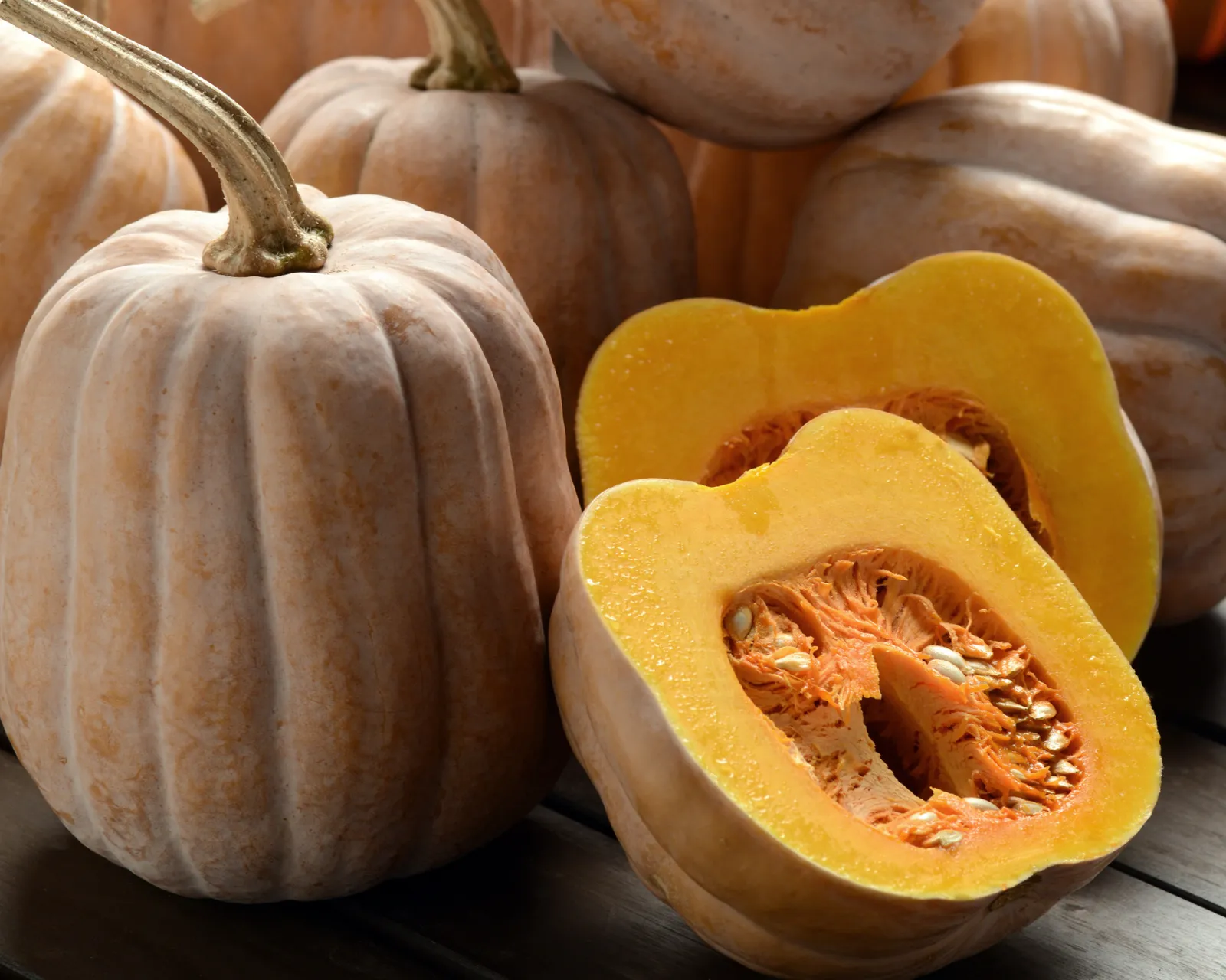 Autumn Frost Squash