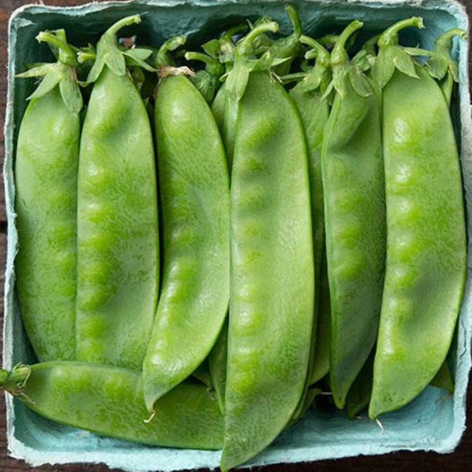 Avalanche Peas