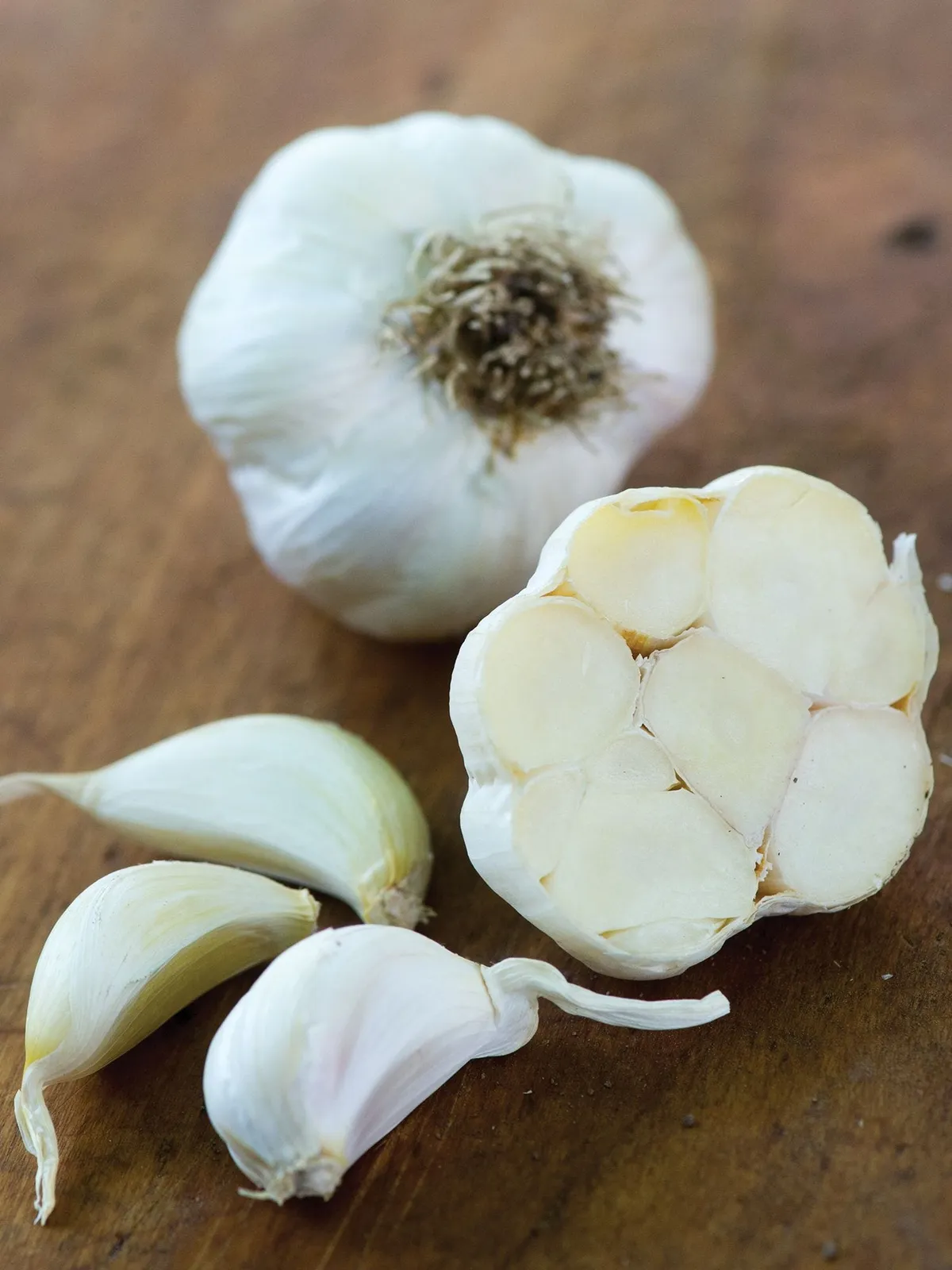 Nootka Rose Garlic