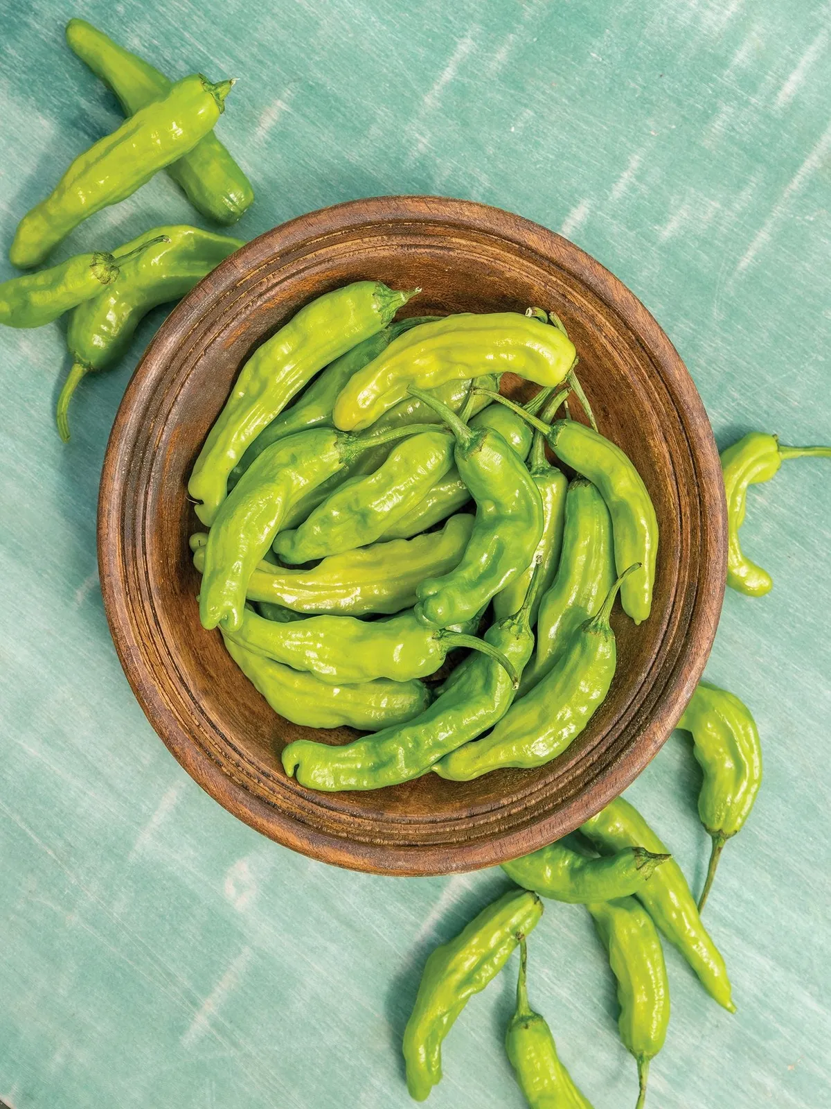 Hot, Dragon Roll Hybrid Peppers