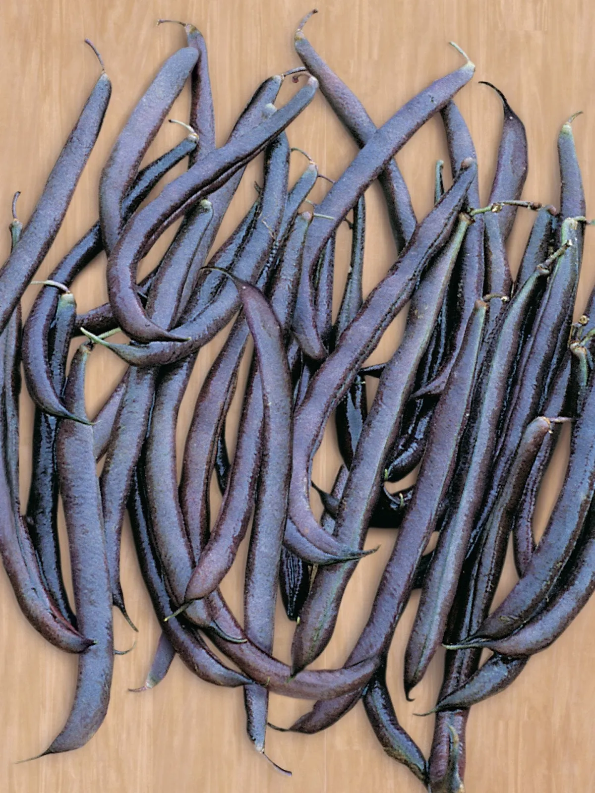 Pole Purple King Beans