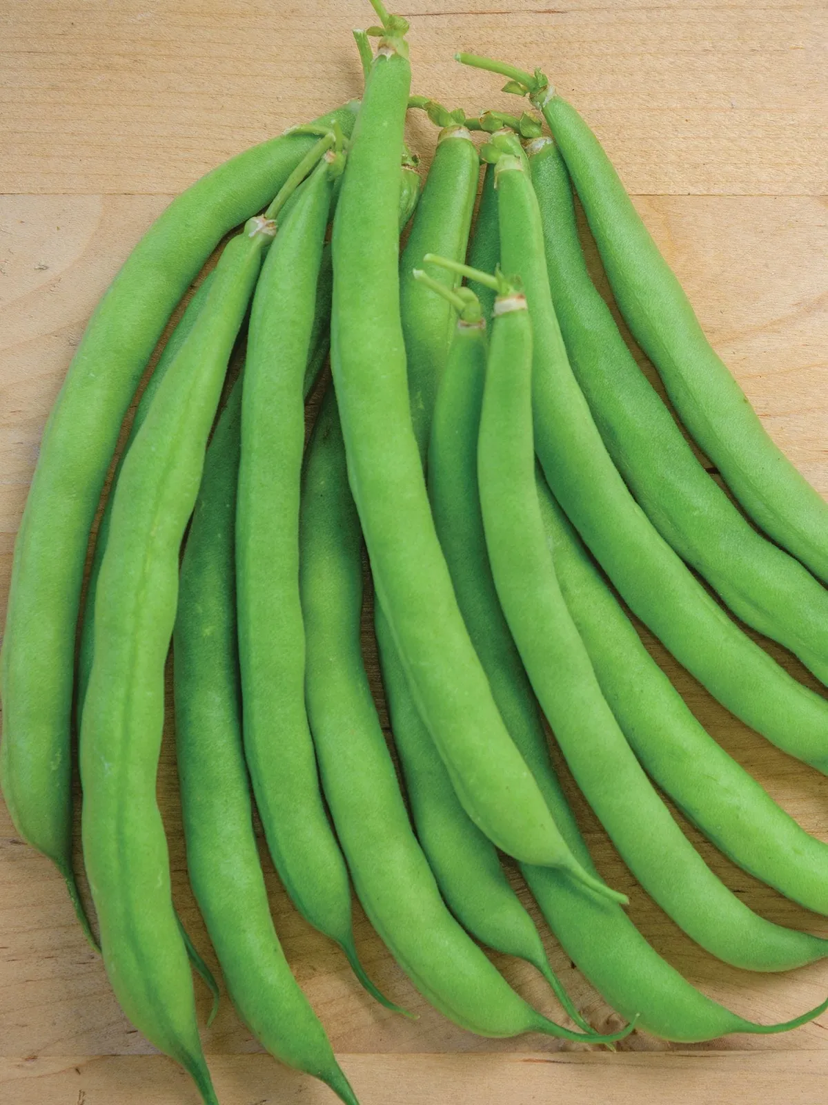 Bush, Tenderpod Beans