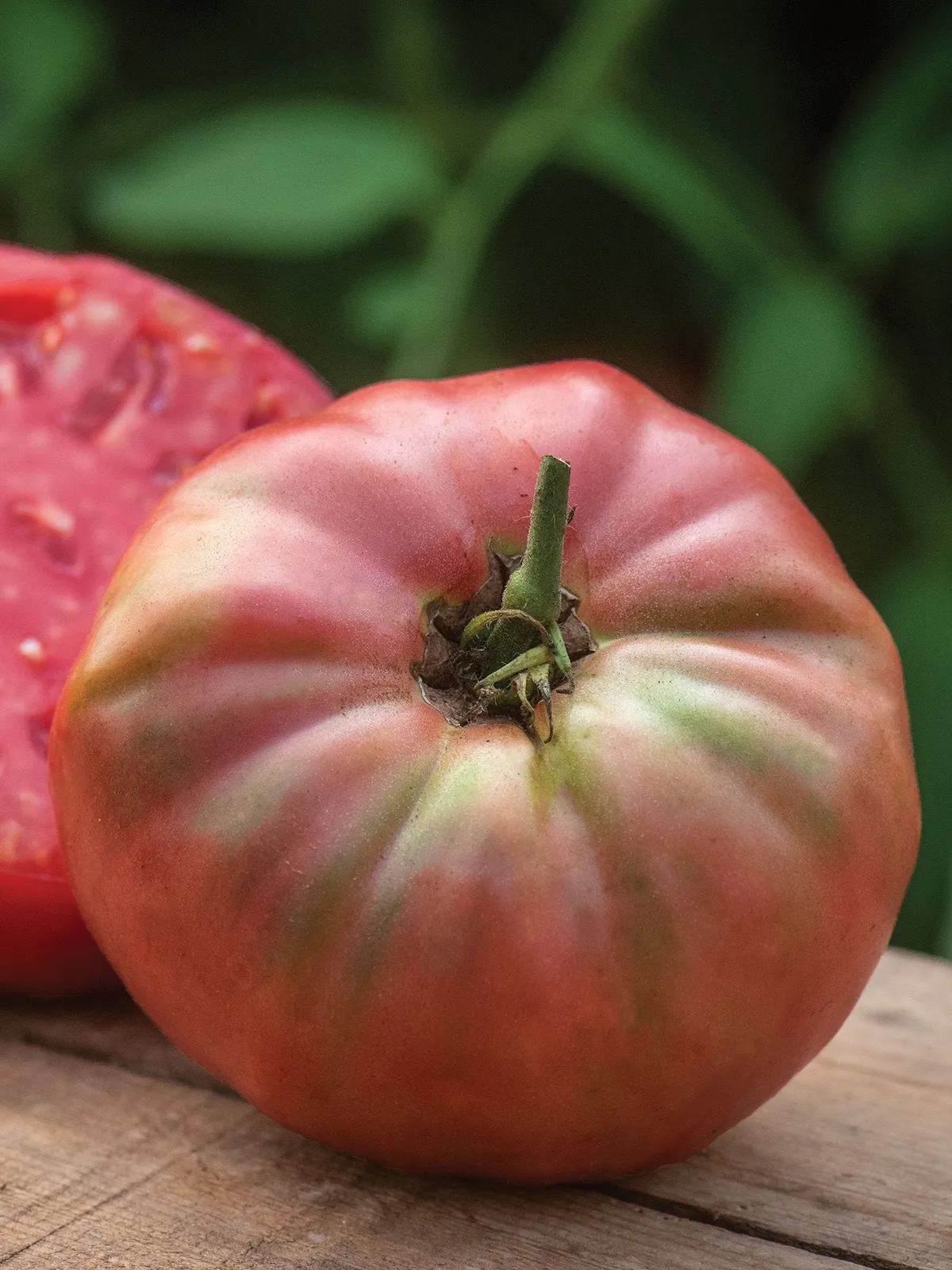 Prudens Purple Tomatoes