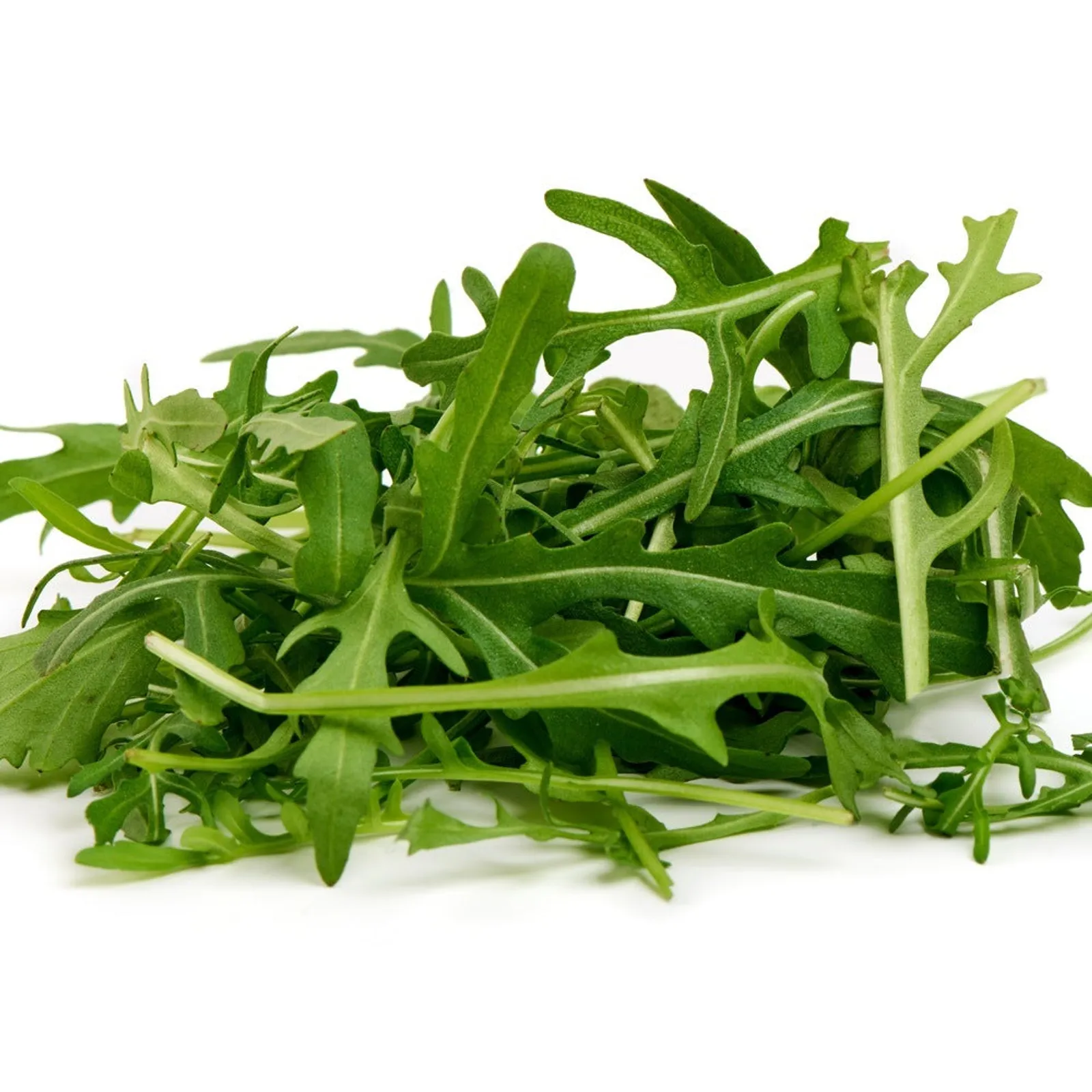 Baby Greens Arugula