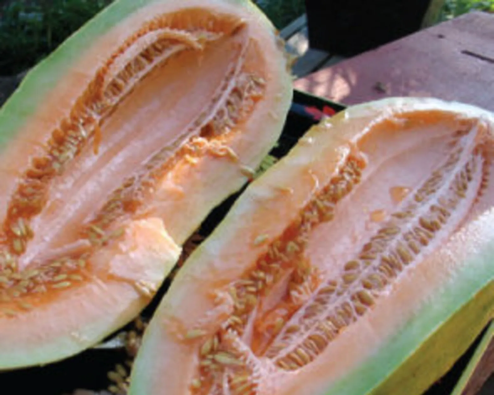 Banana Cantaloupe