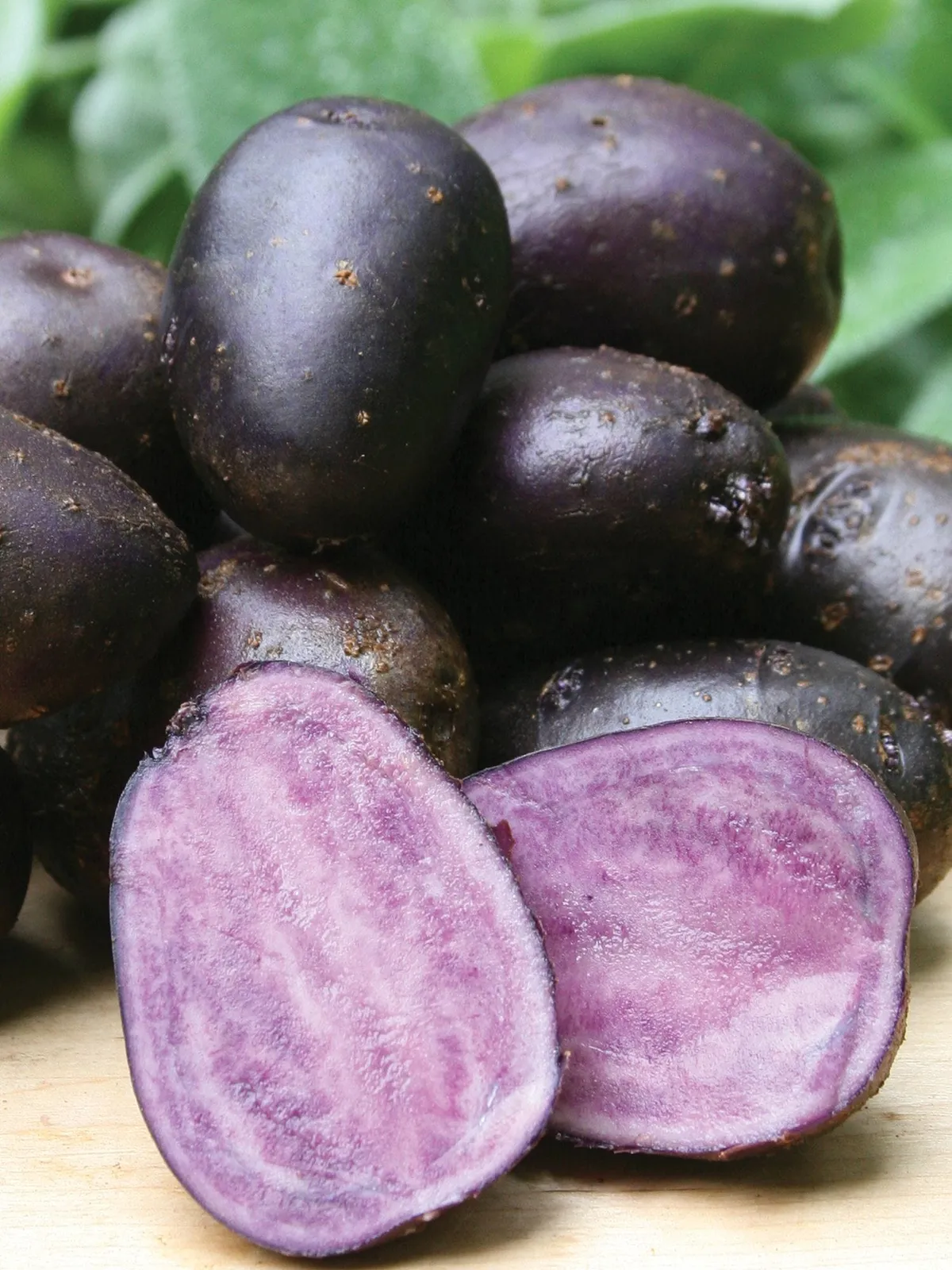 Purple Majesty Potatoes