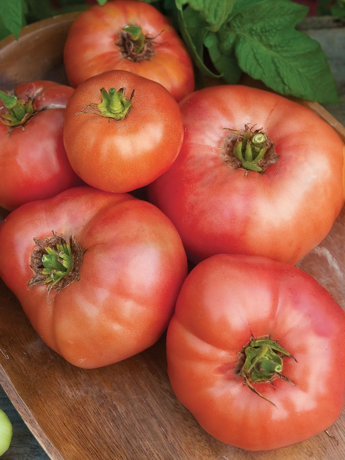 Omars Lebanese Tomatoes
