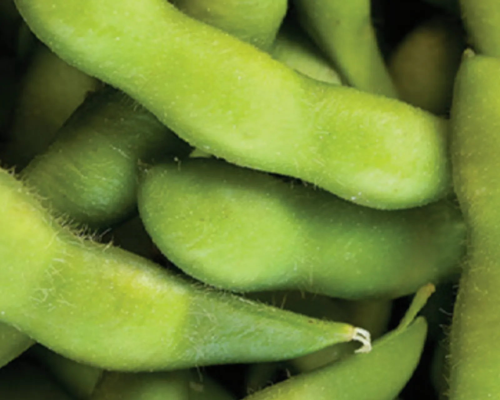 Be Sweet Edamame Beans