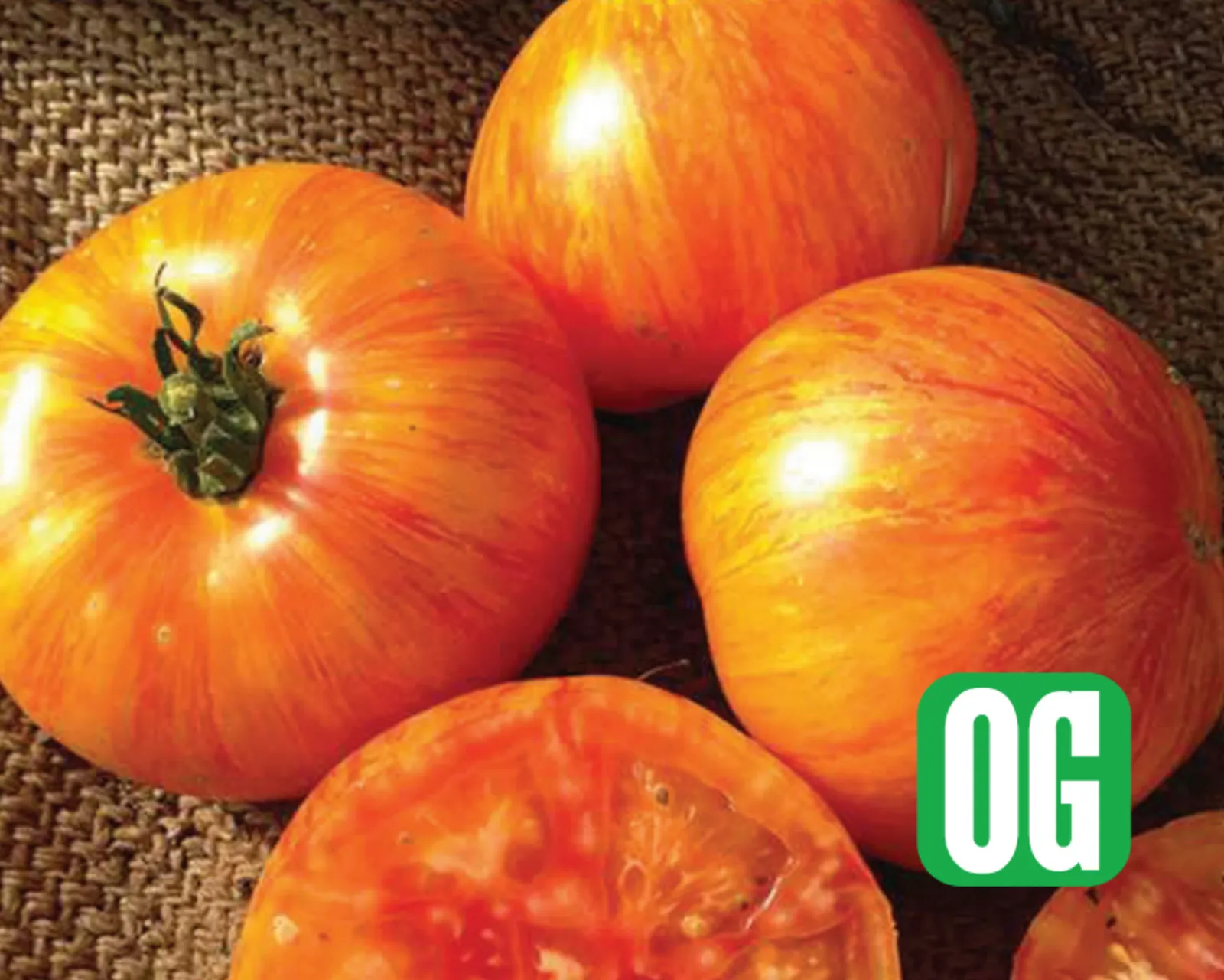 Beauty King Tomatoes