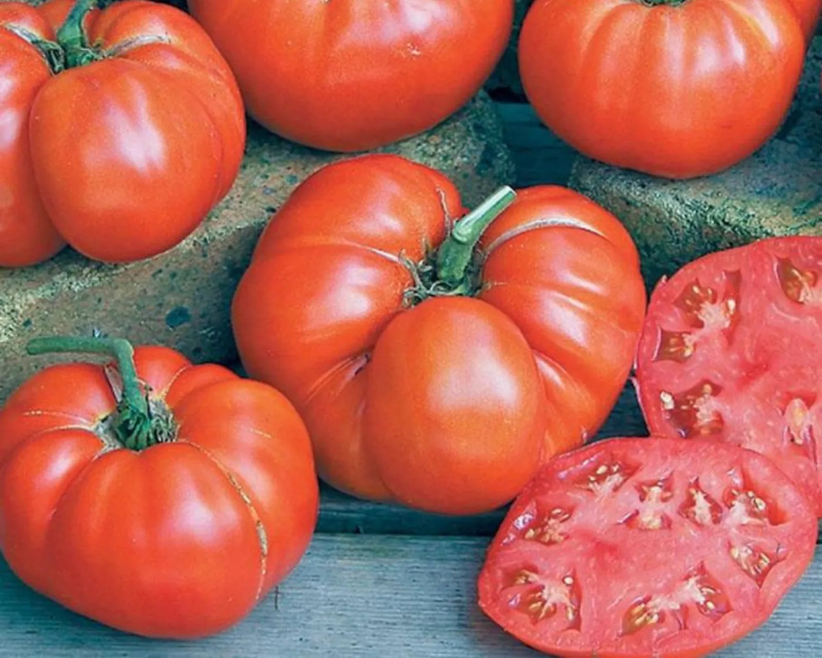 Beefsteak (Red Ponderosa) Heirloom Beefsteak Tomatoes