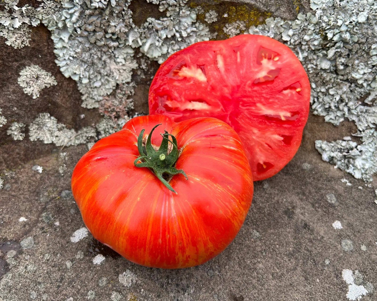 Beefy Red Tomatoes