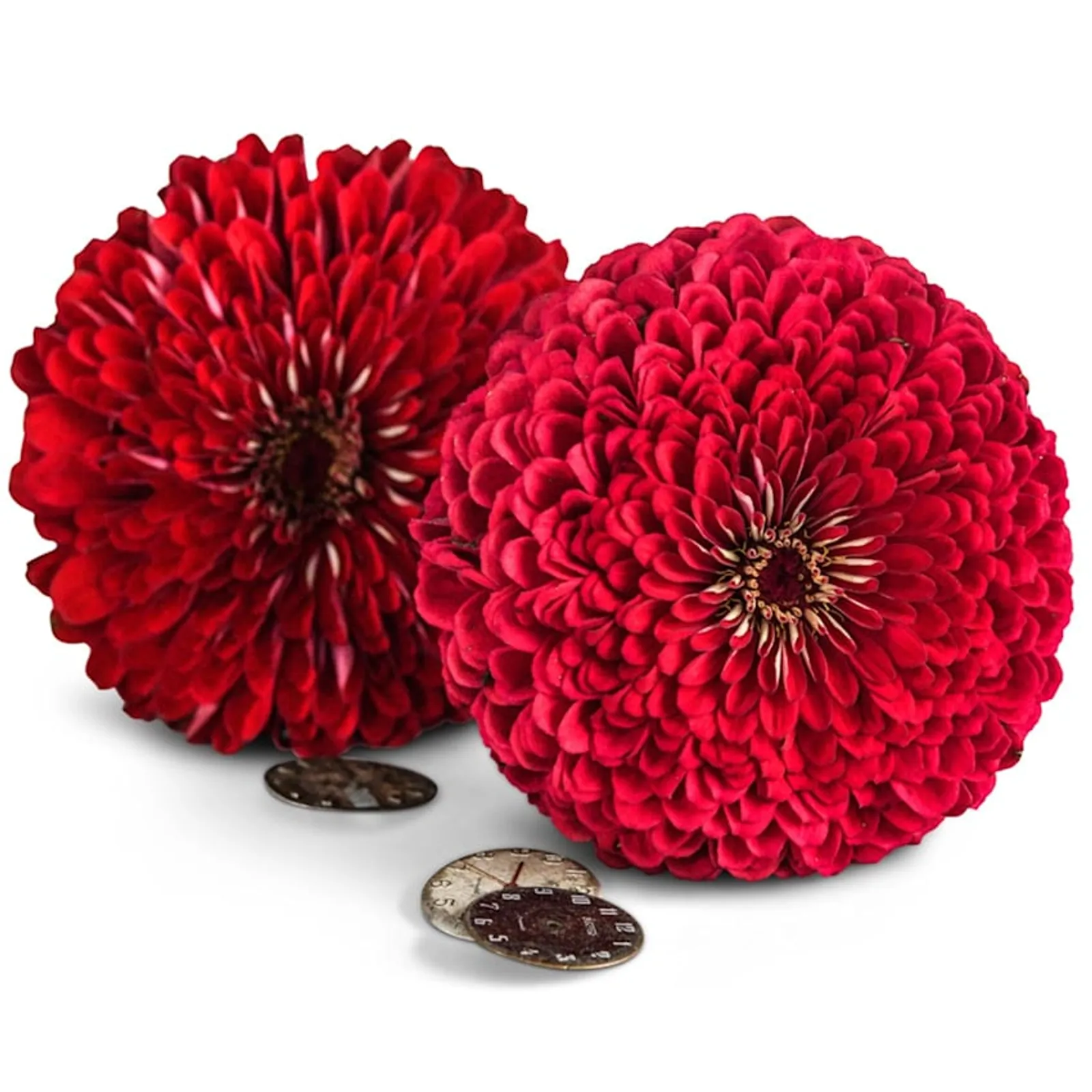 Benary's Giant Zinnia