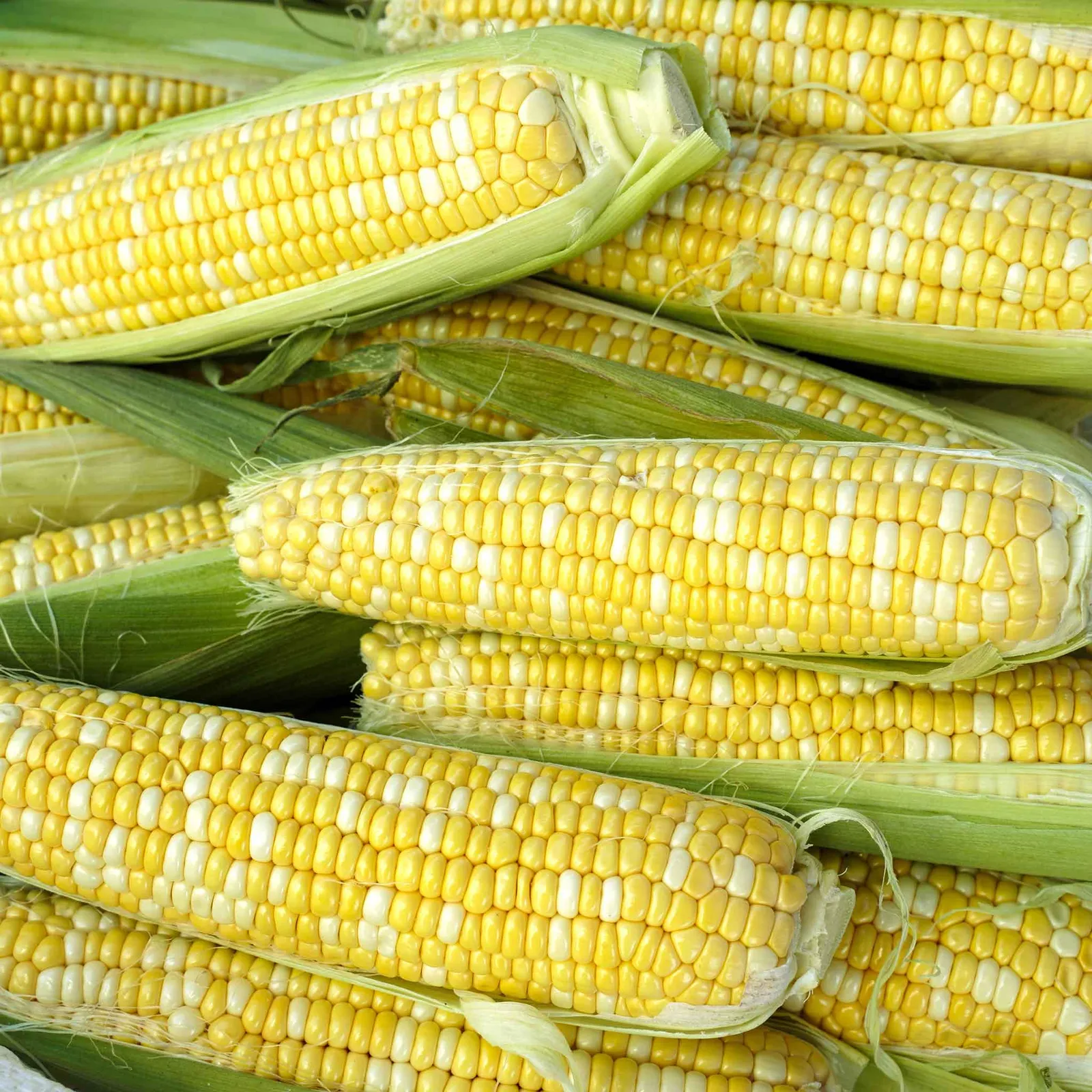 Bi-Licious Corn