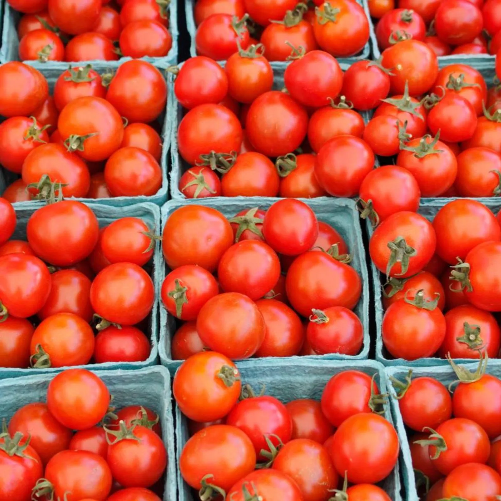 Bing Cherry Tomatoes