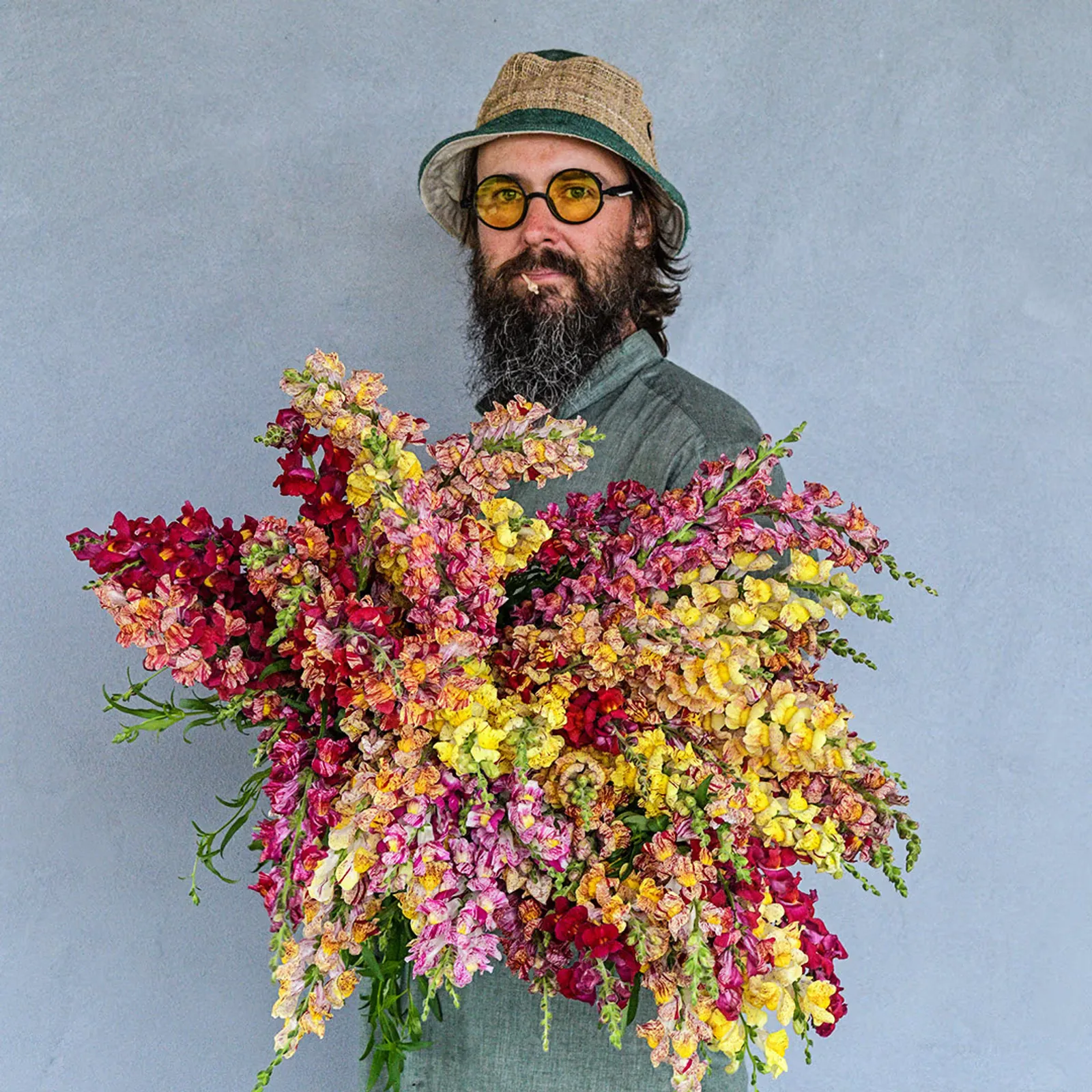 Bizarre Mixed Snapdragon