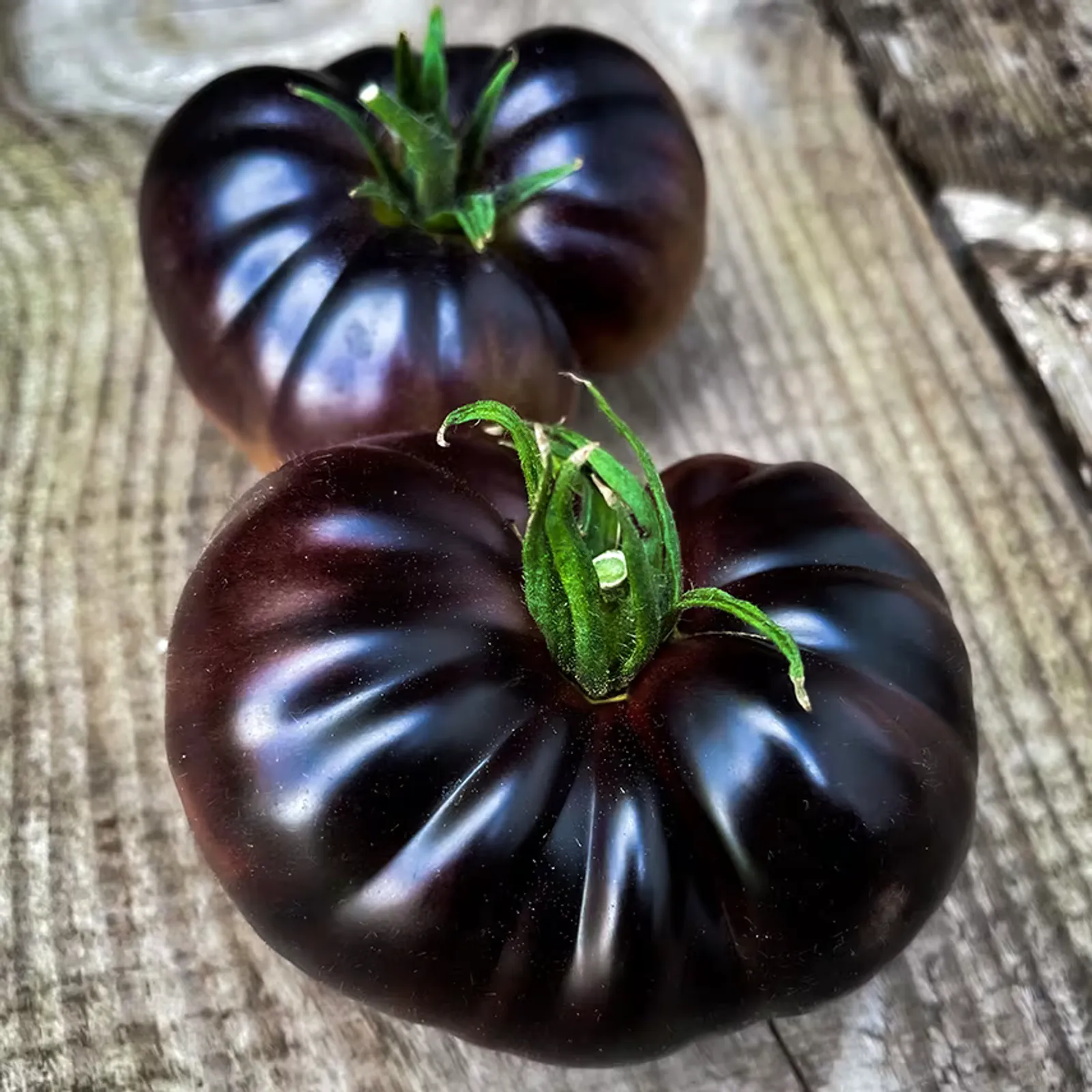 Black Beauty Tomatoes