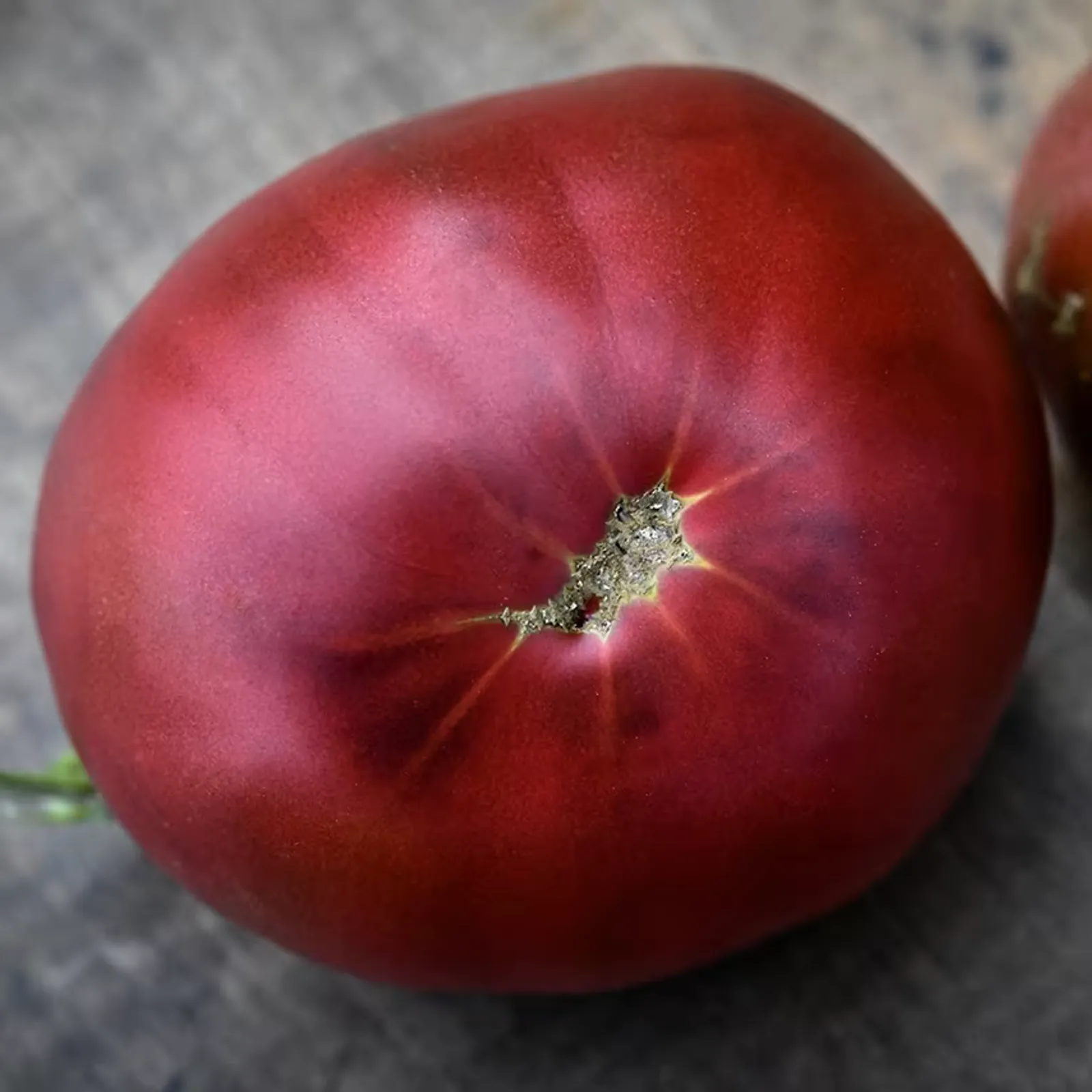 Black From Tula Tomatoes