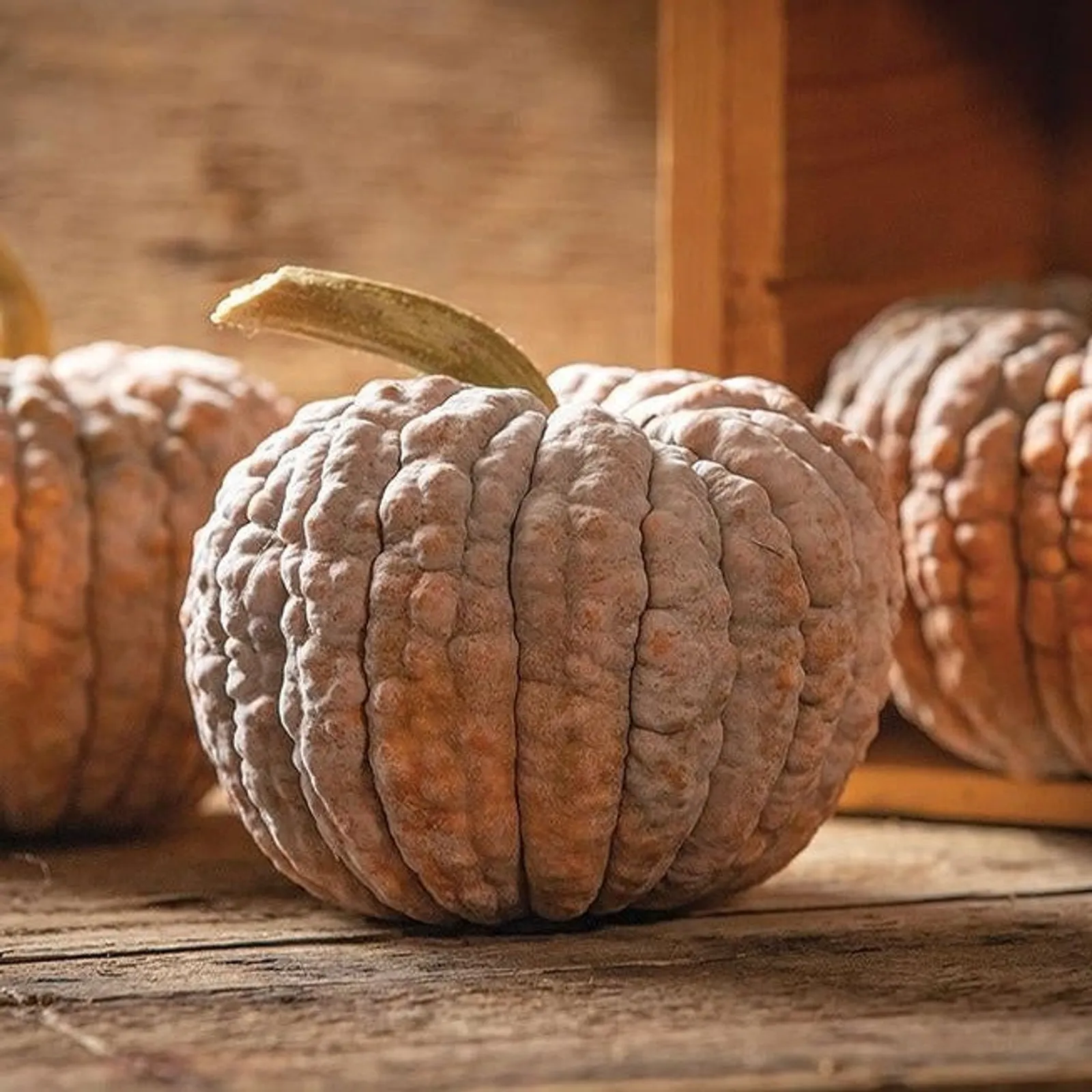 Black Futsu Squash
