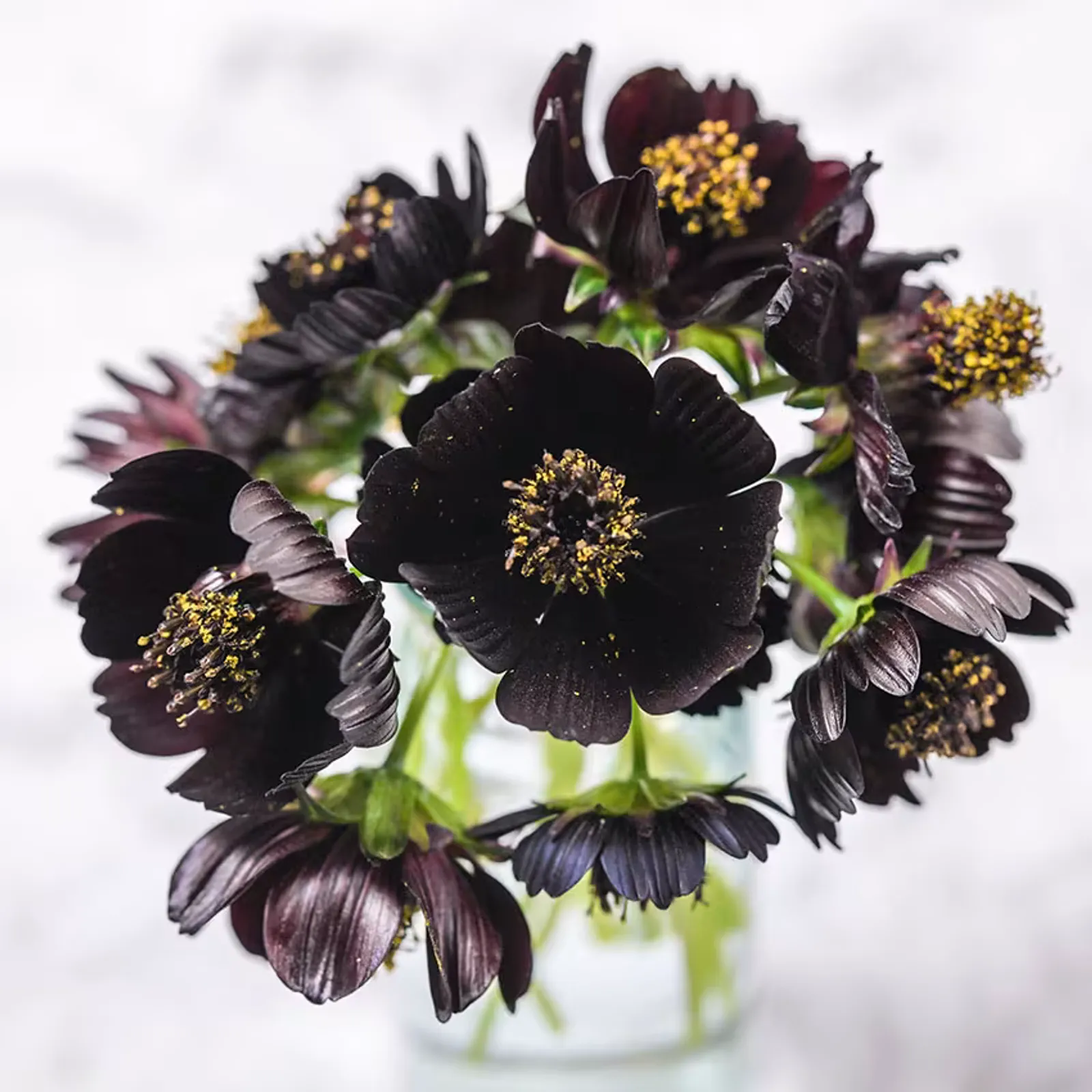 Black Magic Cosmos