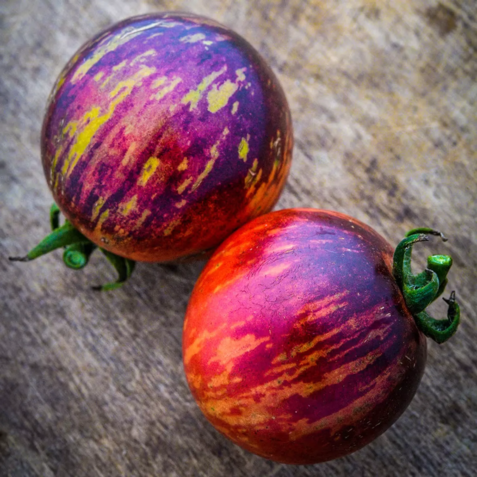 Black Strawberry Tomatoes