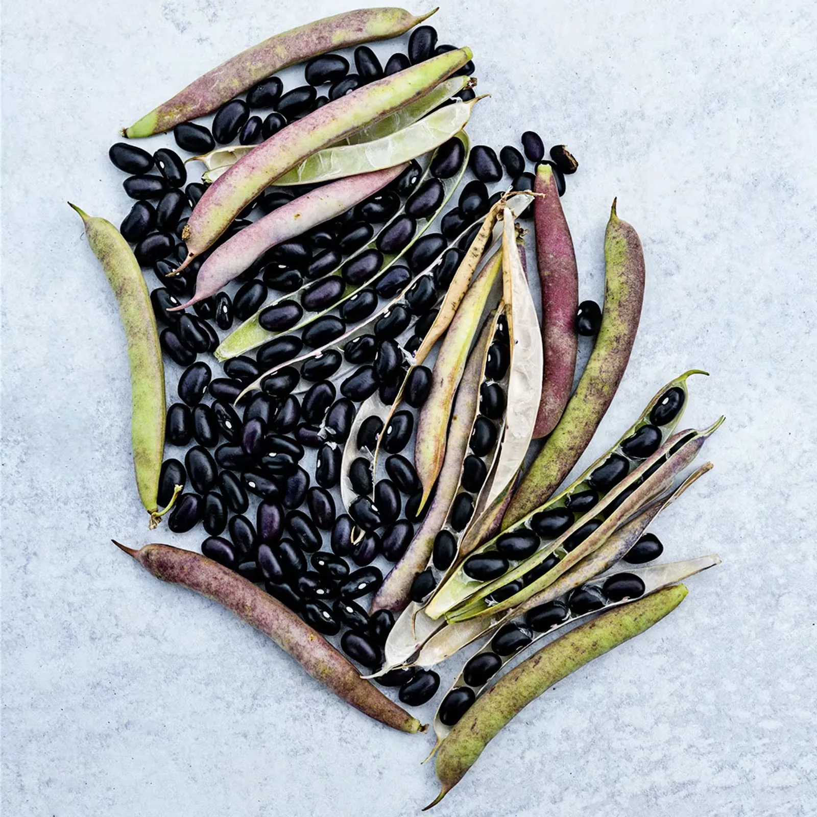 Black Turtle Beans