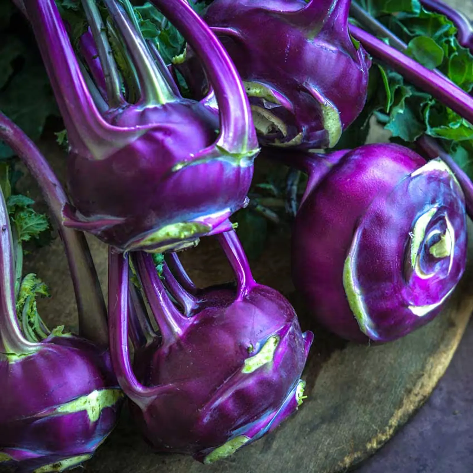 Blauer Speck Kohlrabi