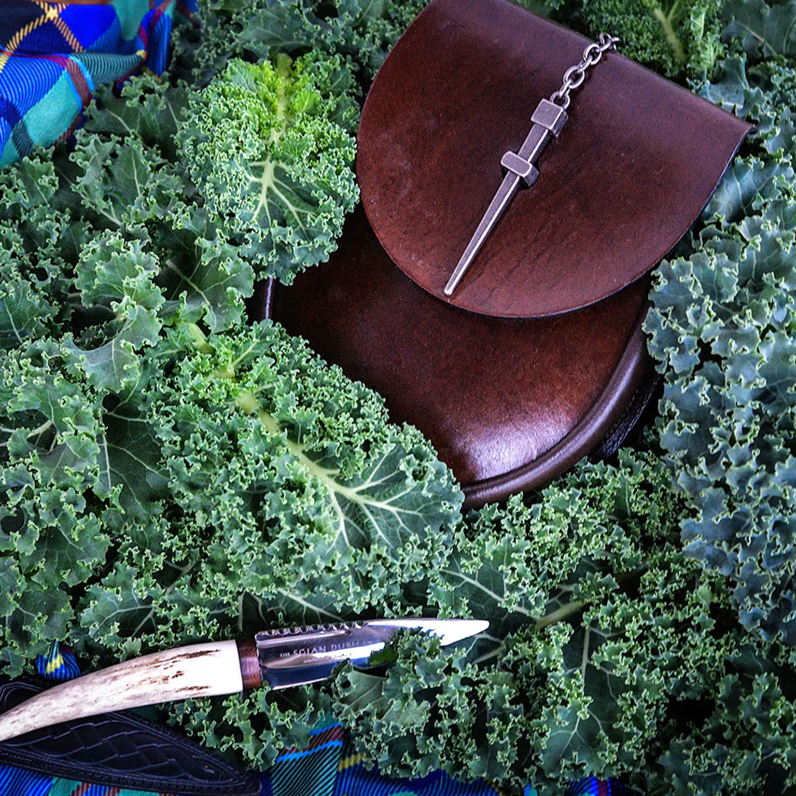 Blue Curled Scotch Kale