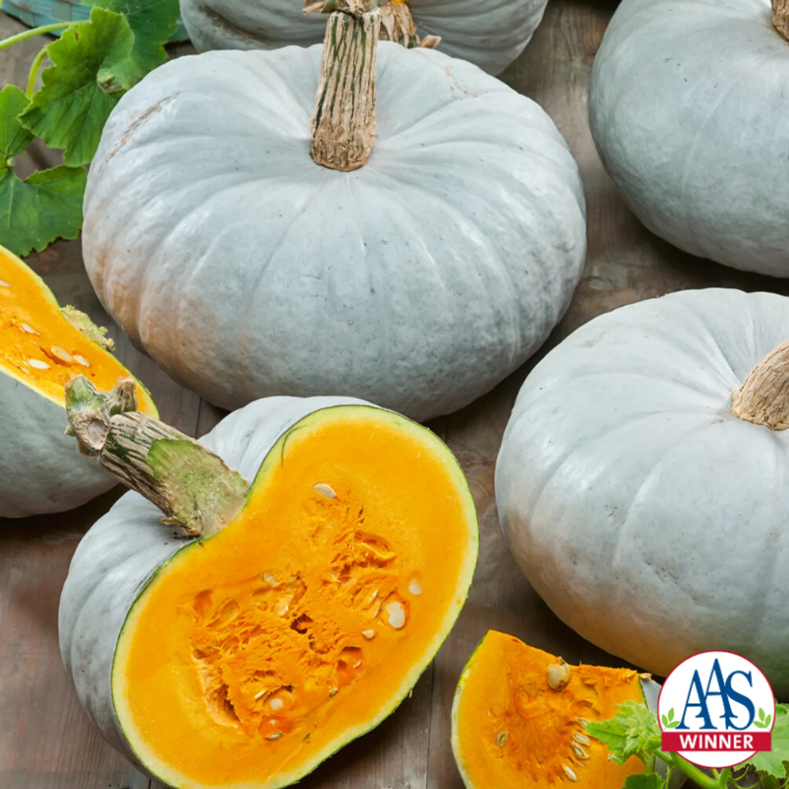 Blue Prince Pumpkin