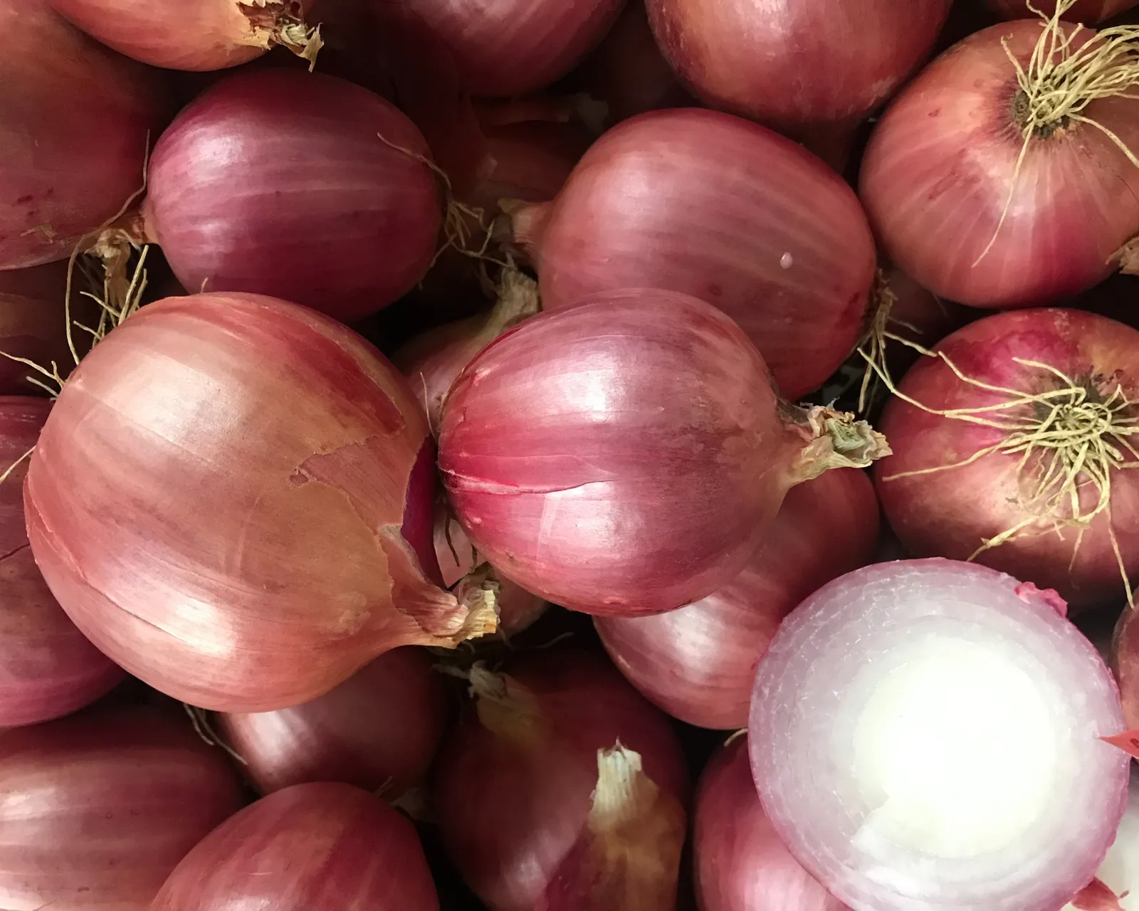 Blush Onions
