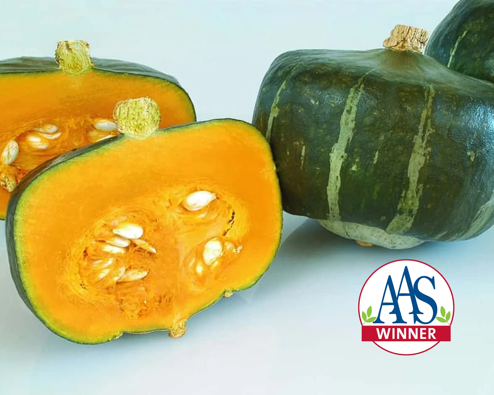 Bonbon Buttercup Squash