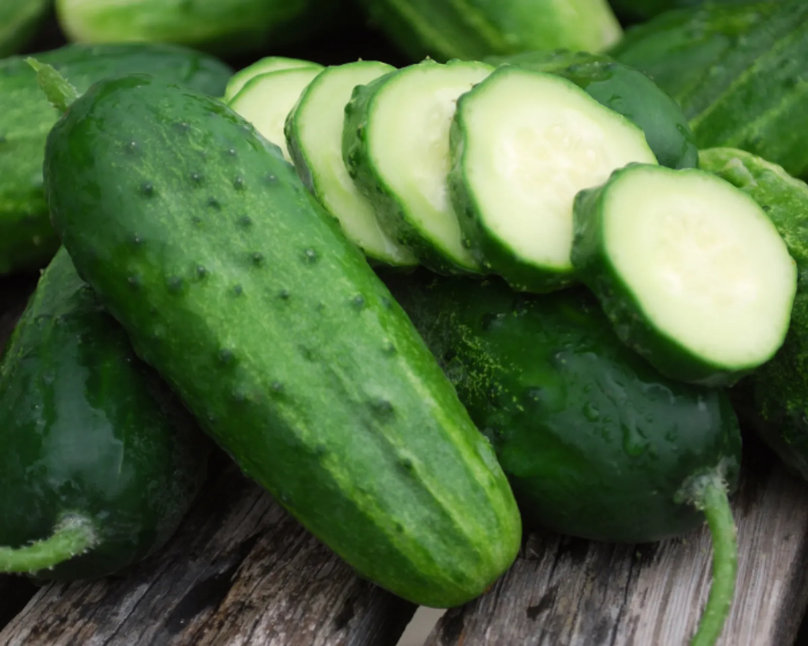 Boston Pickling Cucumbers
