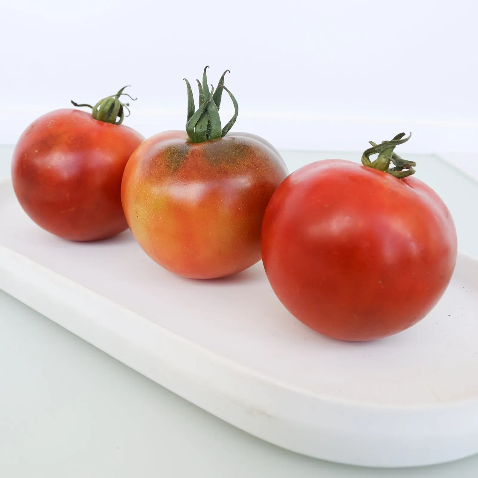 Bountilicious Tomatoes