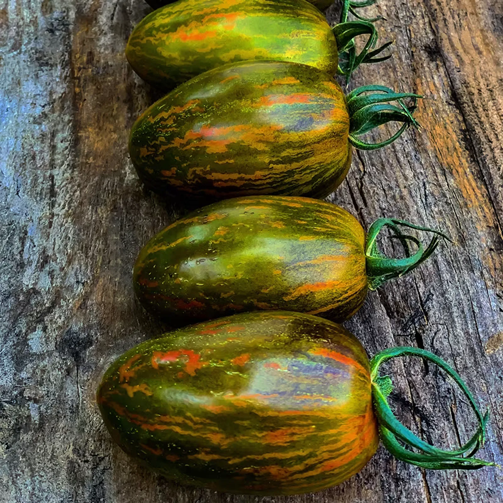Brad's Atomic Grape Tomatoes