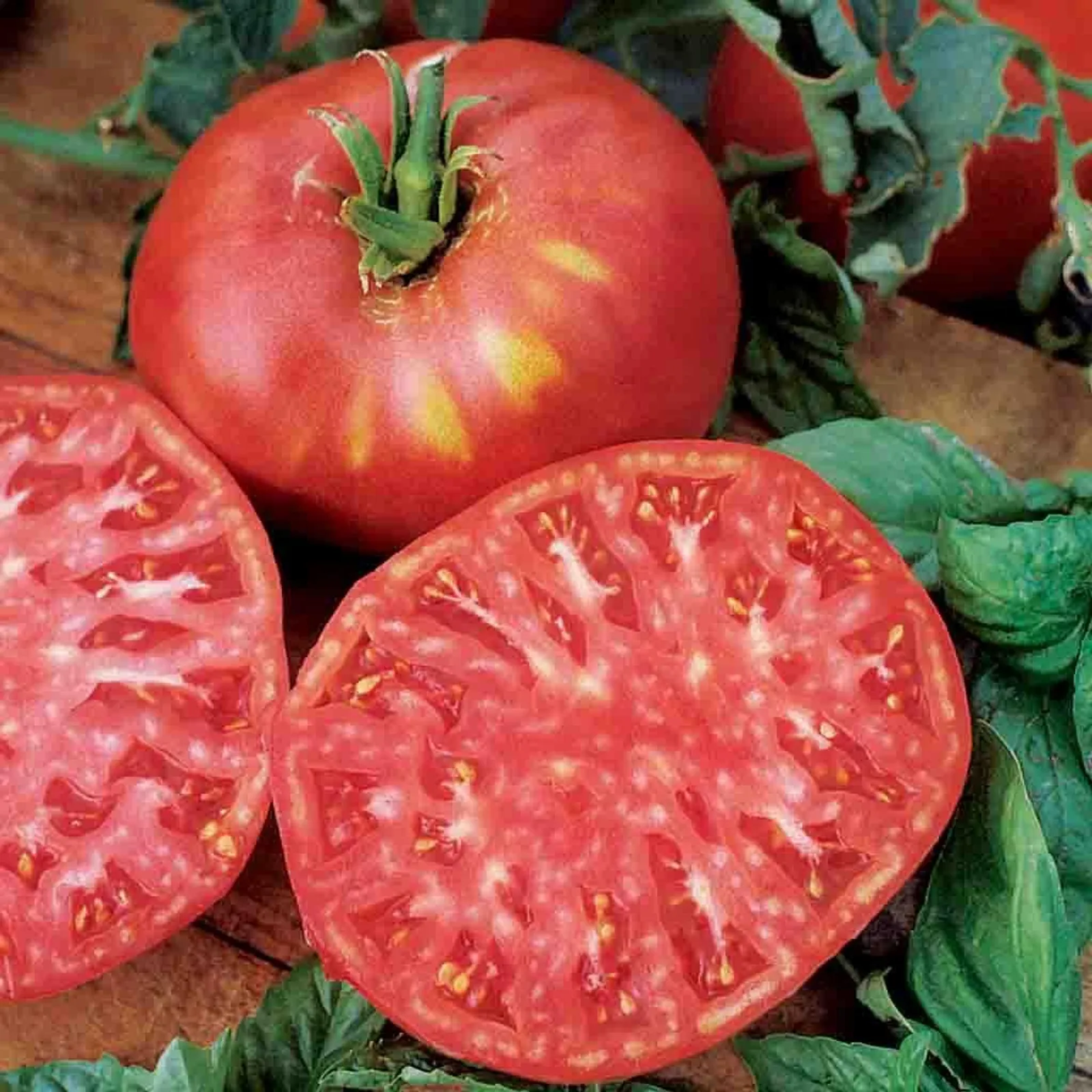 Brandywine Pink Tomatoes
