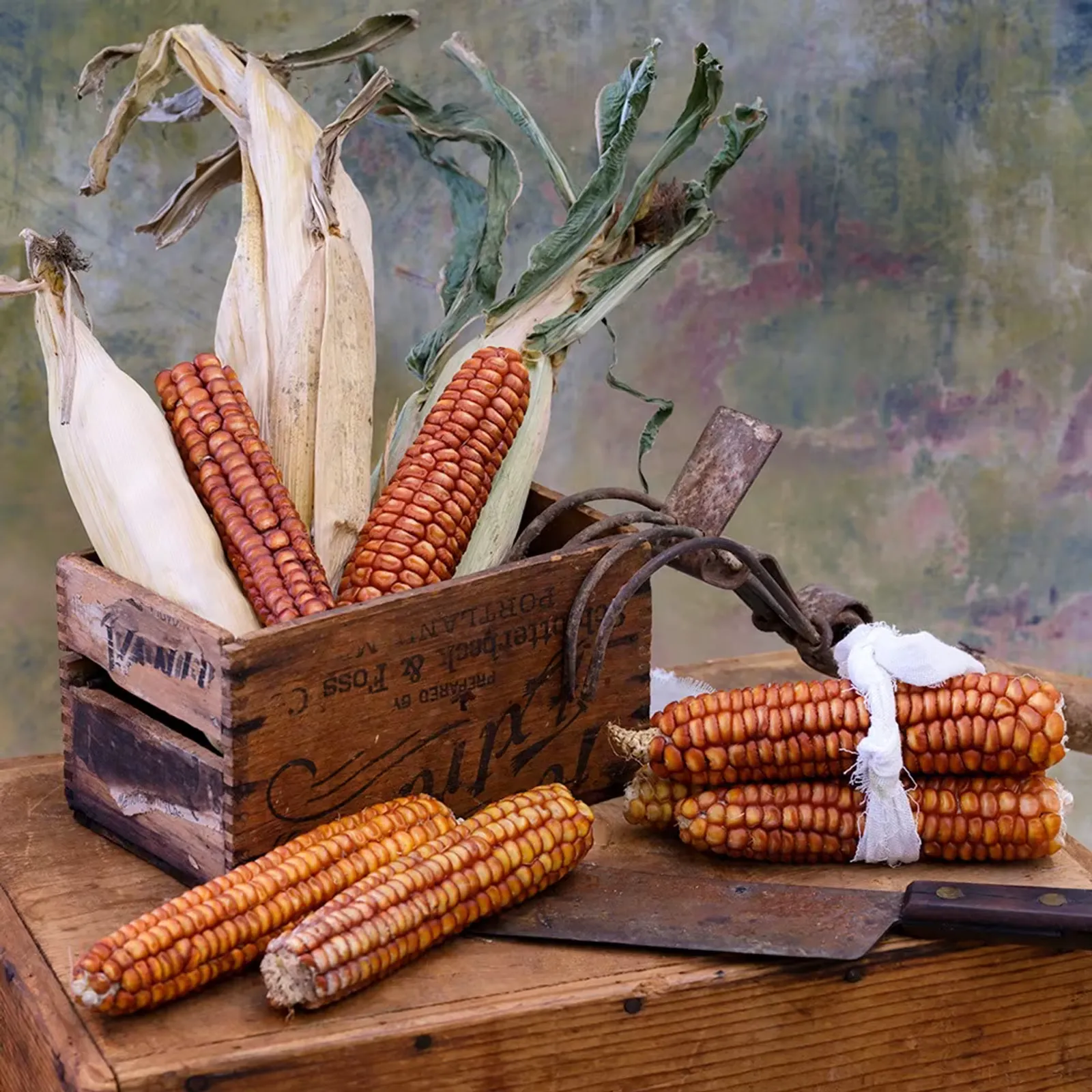 Bronze Orange Corn
