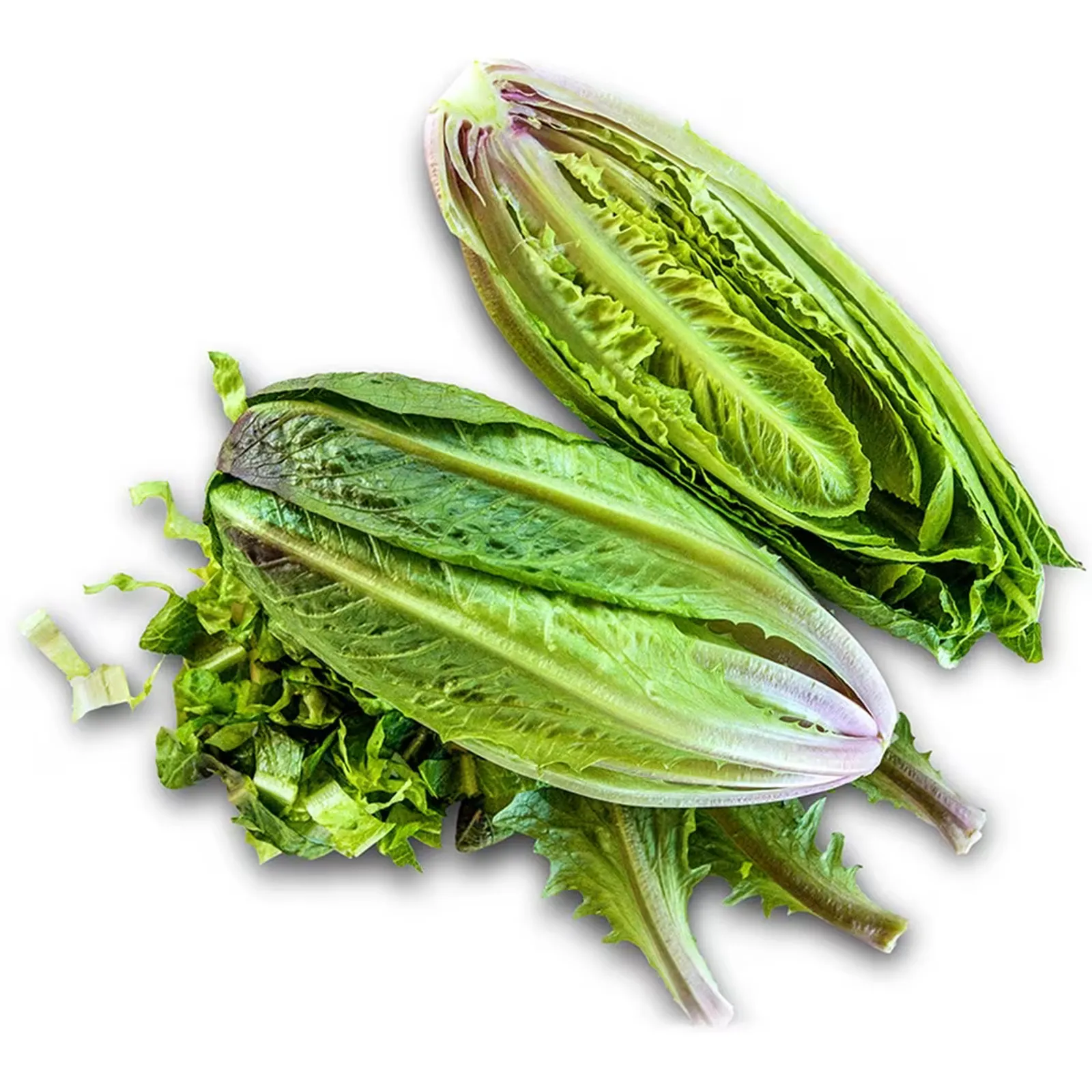 Brown Goldring Lettuce
