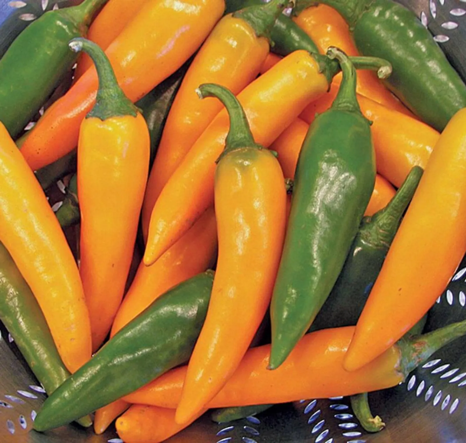 Bulgarian Carrot Chile Peppers
