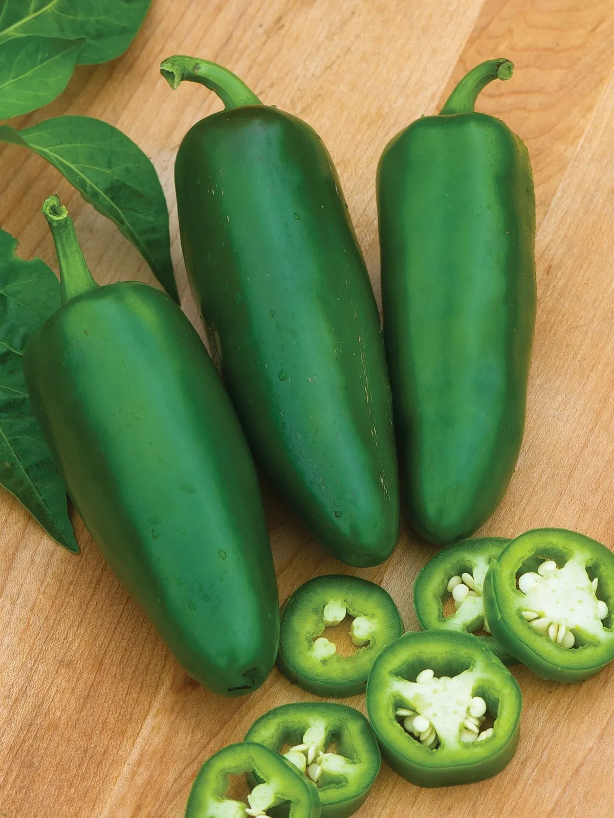 Hot Jalapeno, Big Guy Hybrid Peppers