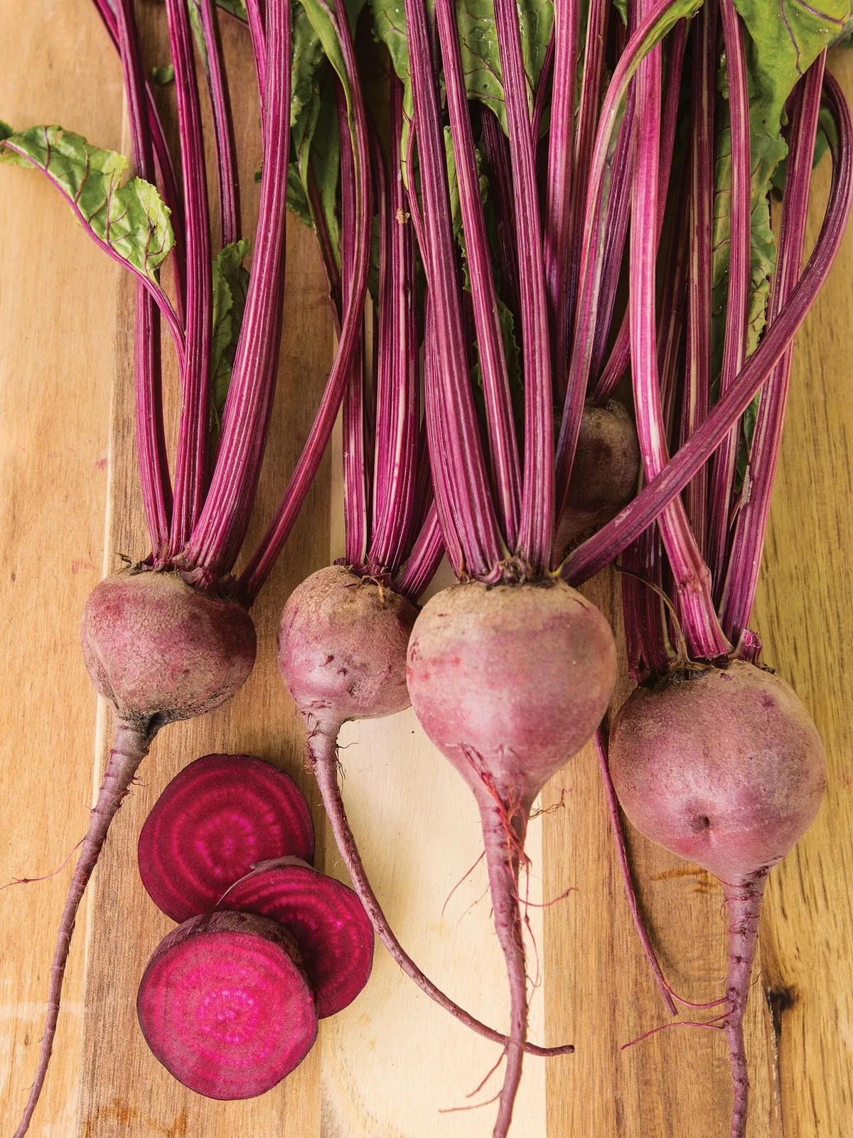 Merlin Hybrid Beets