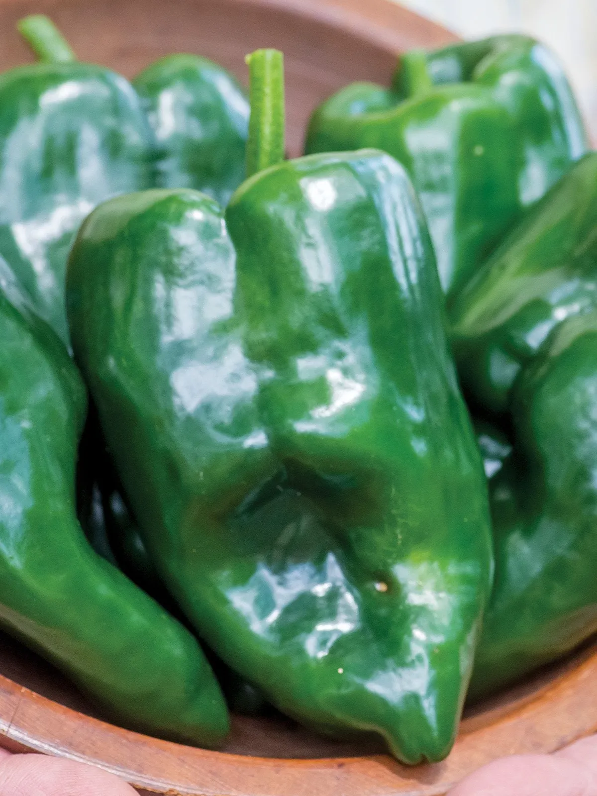 Hot, Big Boss Man Hybrid Peppers