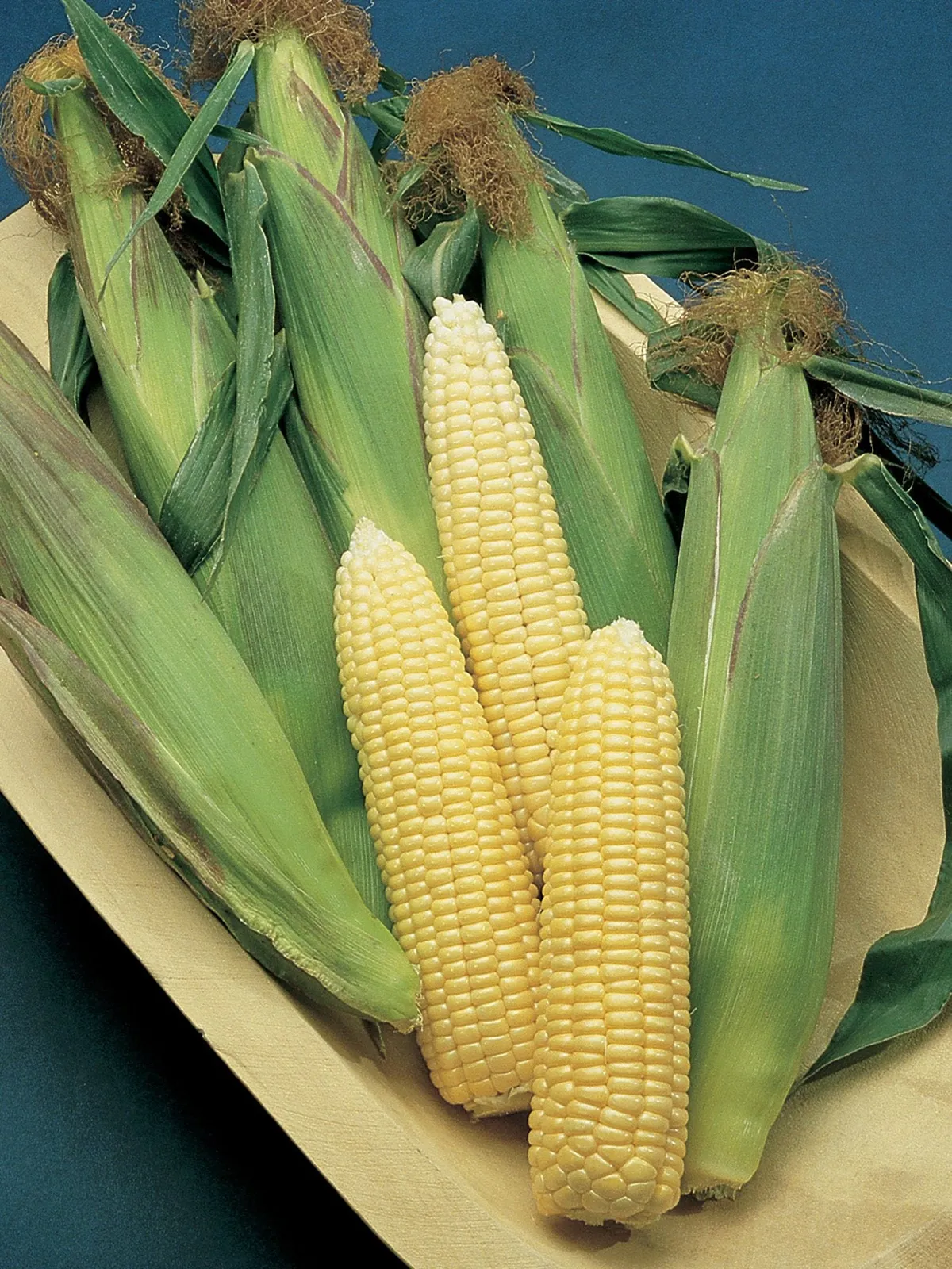 Early Sunglow Hybrid